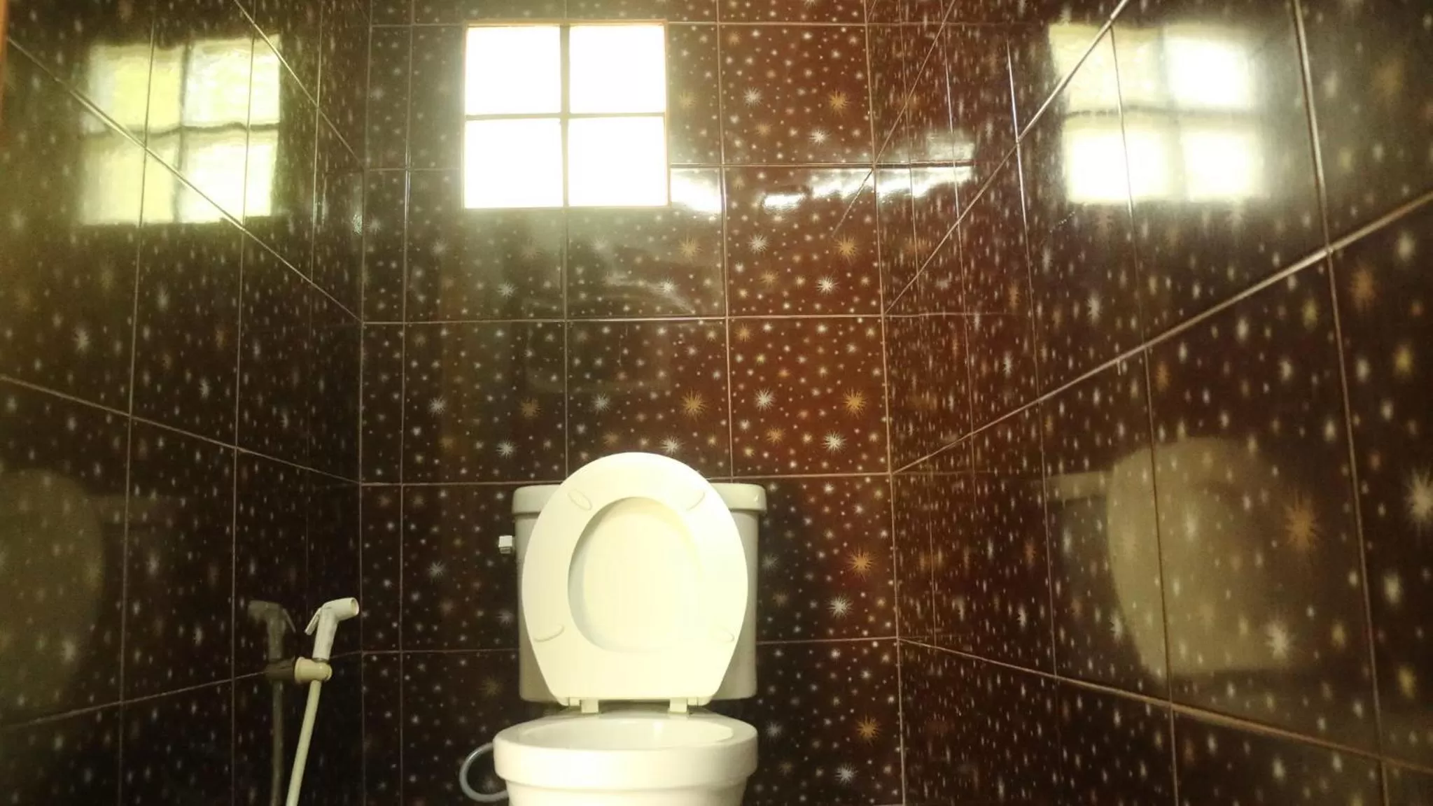 Toilet in Island Lodge