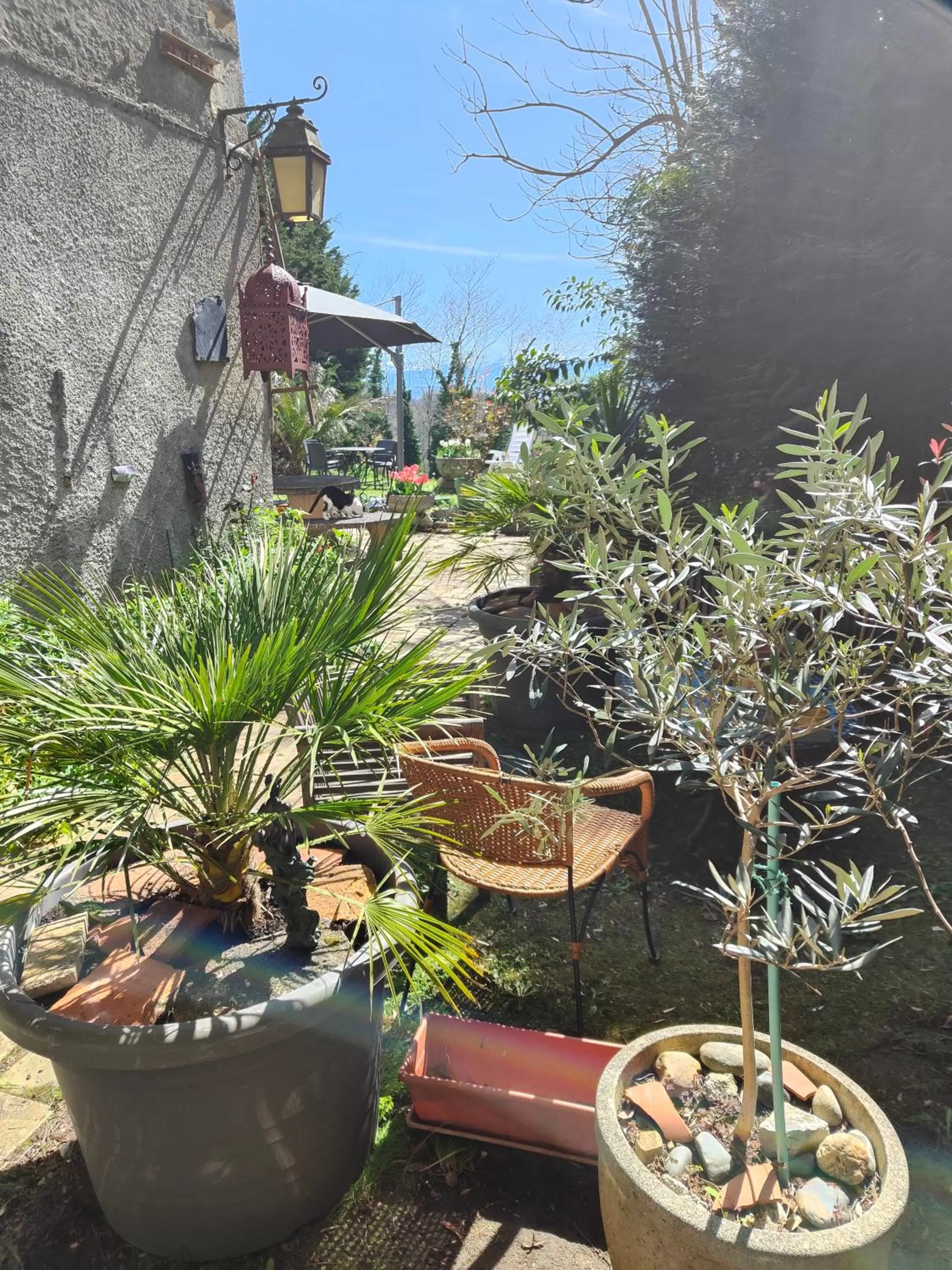 Garden view in Le Chat Botté Chambres et Table d'hôte sur réservation