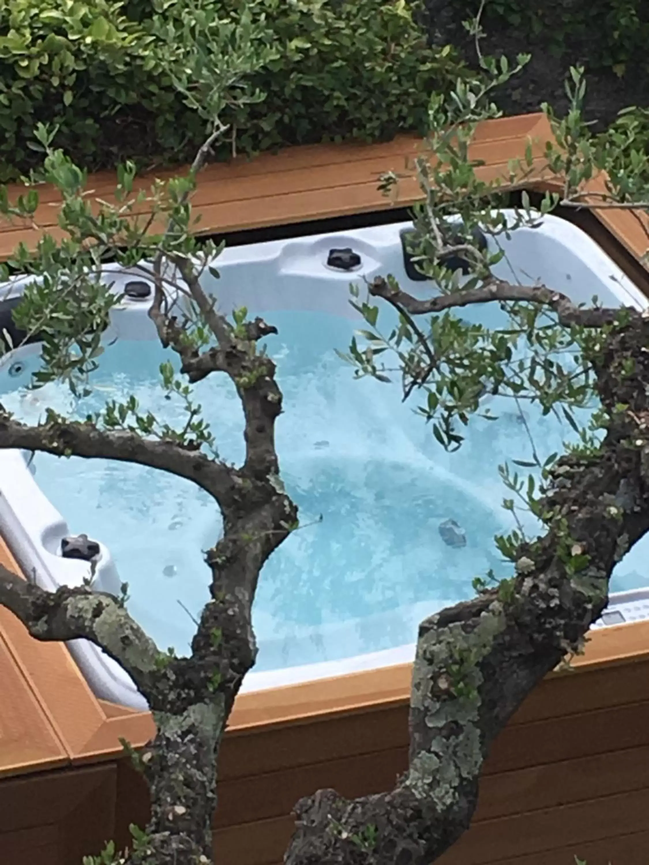 Hot Tub, Pool View in Velamica Resort