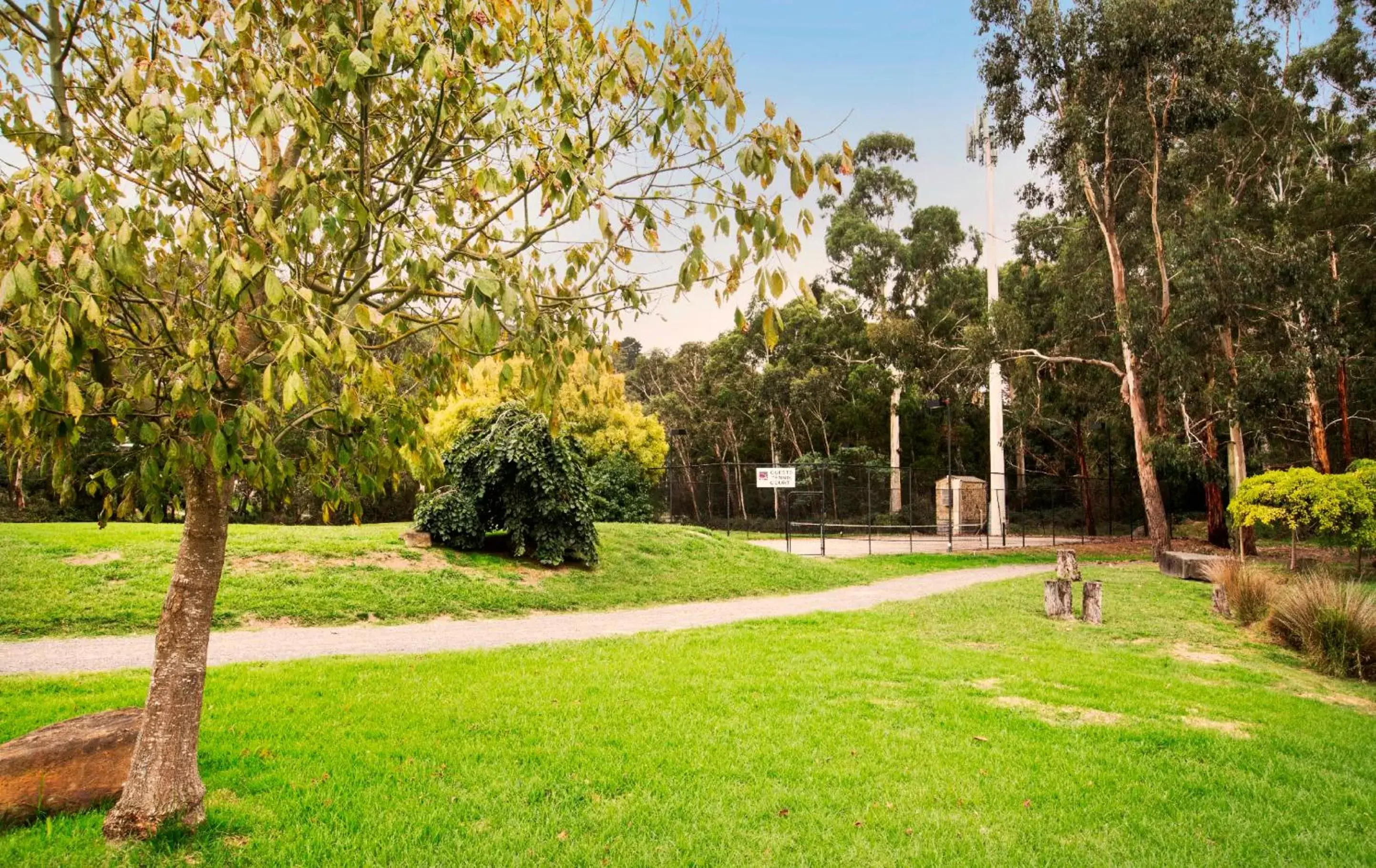 Garden in Nightcap at York on Lilydale