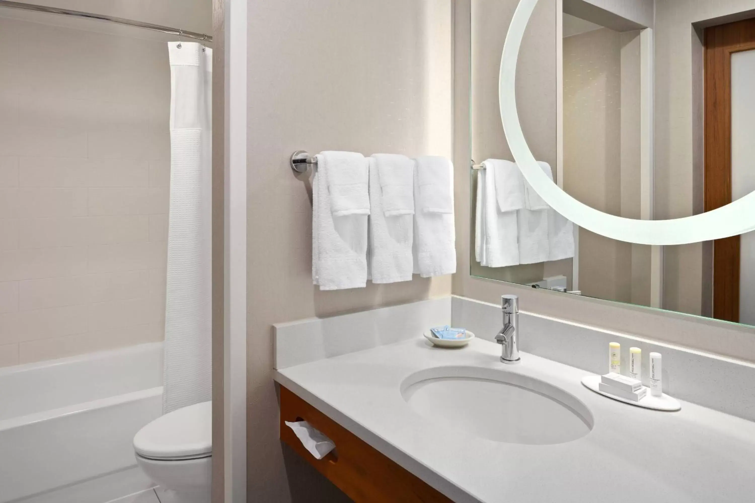 Bathroom in SpringHill Suites by Marriott Flagstaff