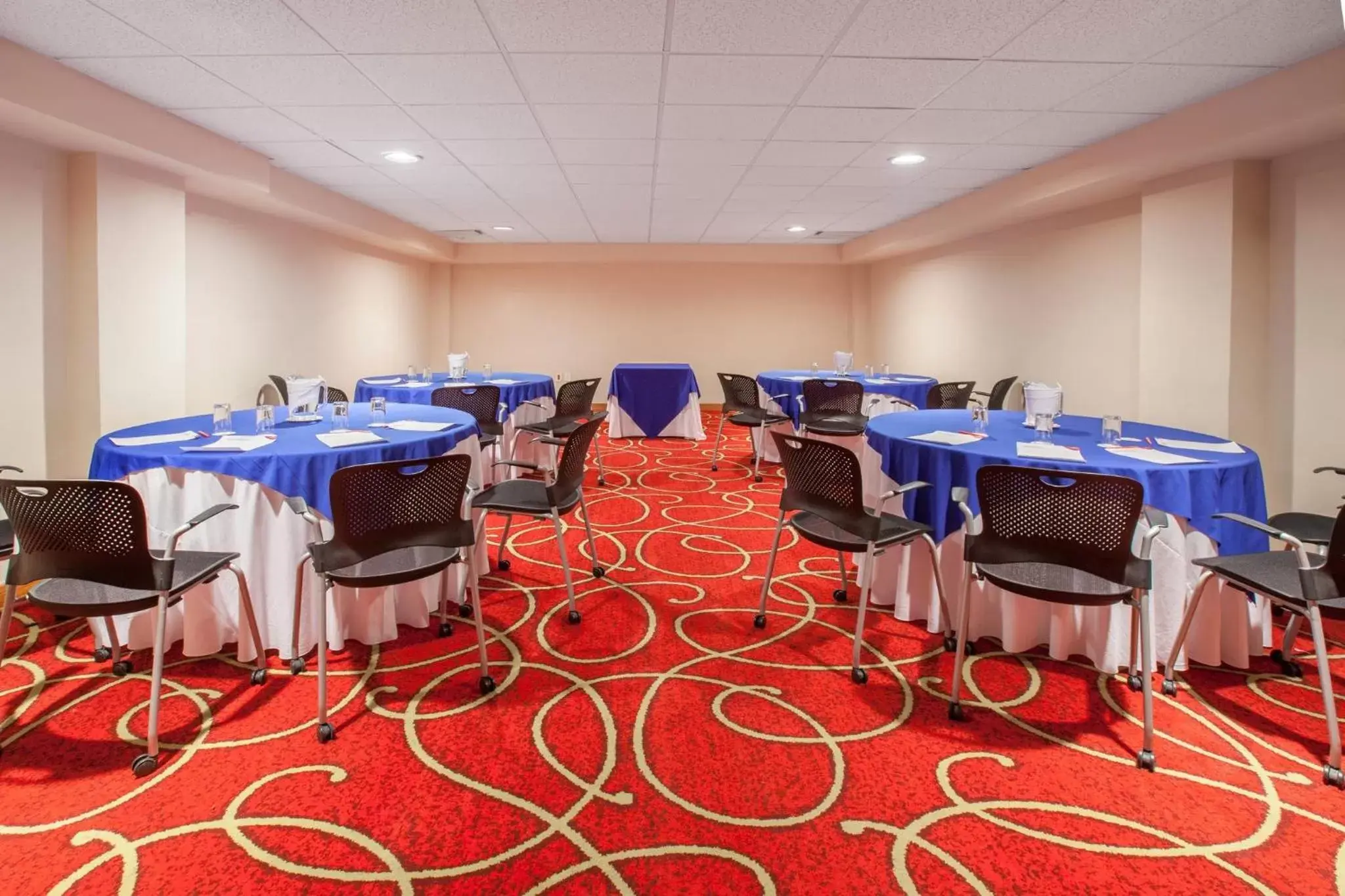 Meeting/conference room in Holiday Inn Tuxpan - Convention Center, an IHG Hotel