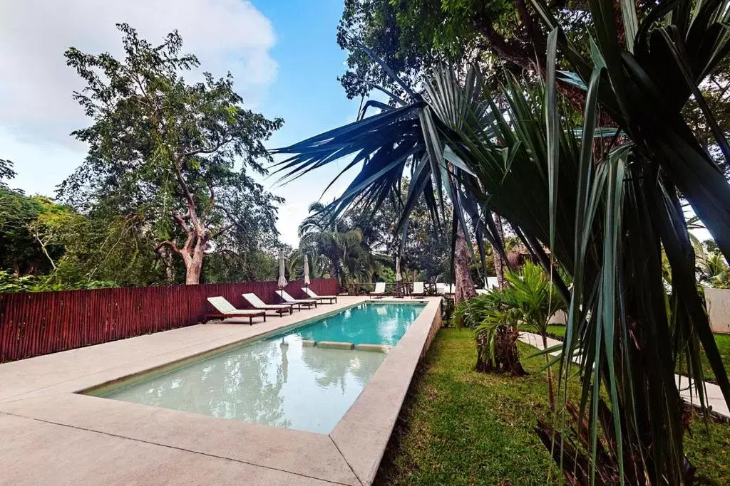 Swimming Pool in Mi Kasa Tu Kasa Bacalar by Nah Hotels