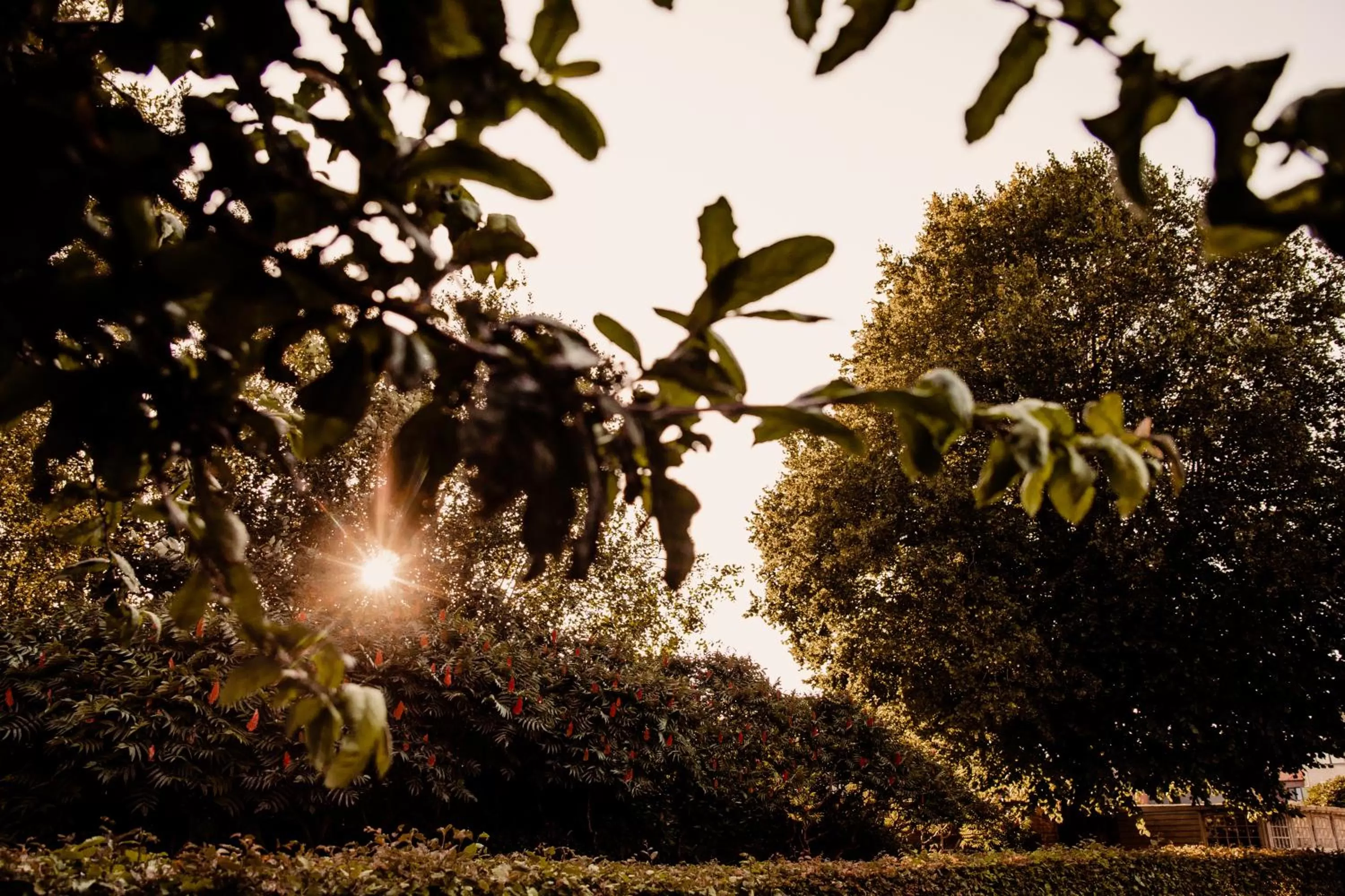 Garden in B&B 't Kasteel & 't Koetshuys