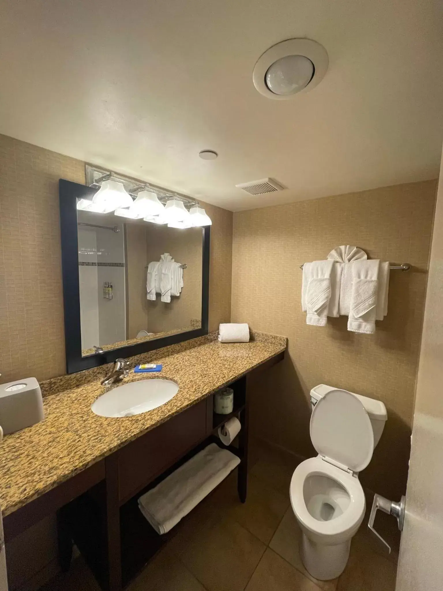Bathroom in Holiday Inn Express Philadelphia Penn's Landing, an IHG Hotel