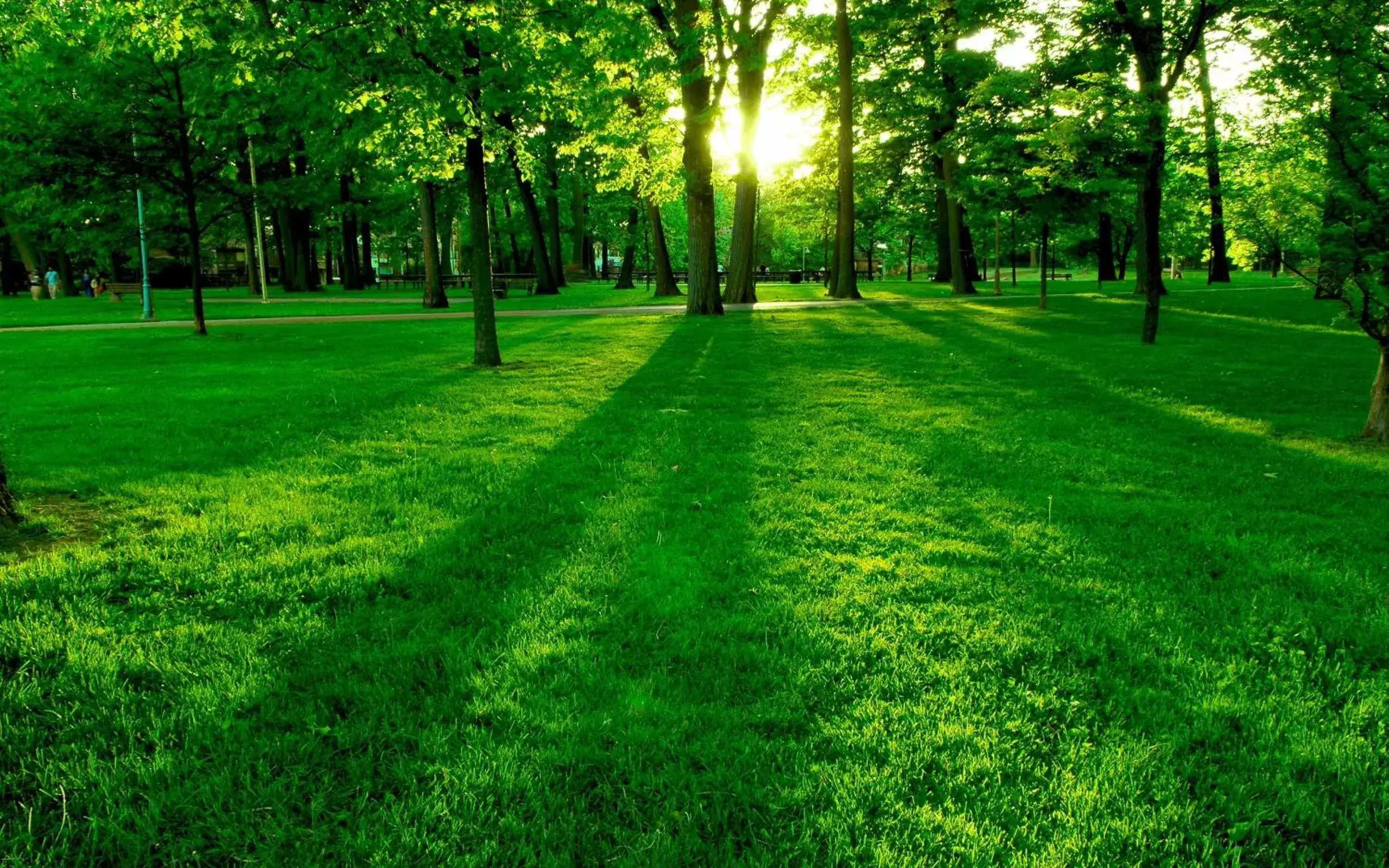 Natural landscape, Garden in Villa Fiorita