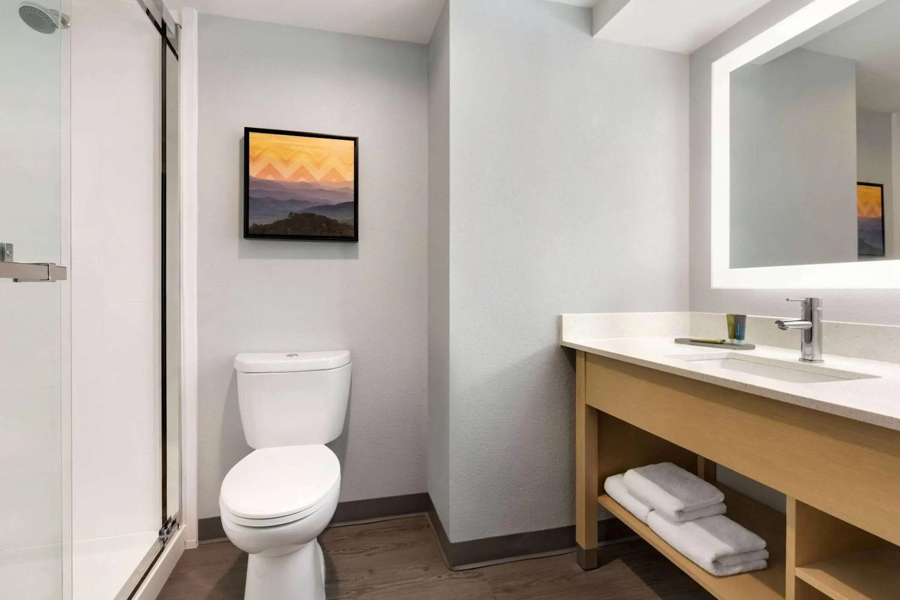 Bathroom in La Quinta Inn & Suites by Wyndham Selma/Smithfield I-95