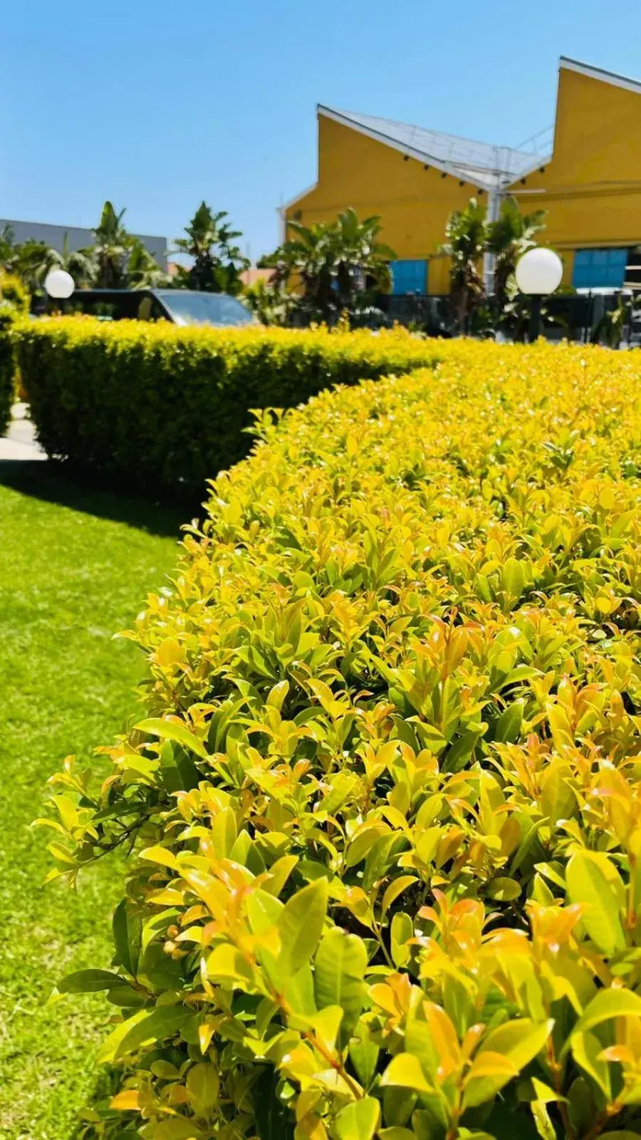 Garden in Hotel Milazzo