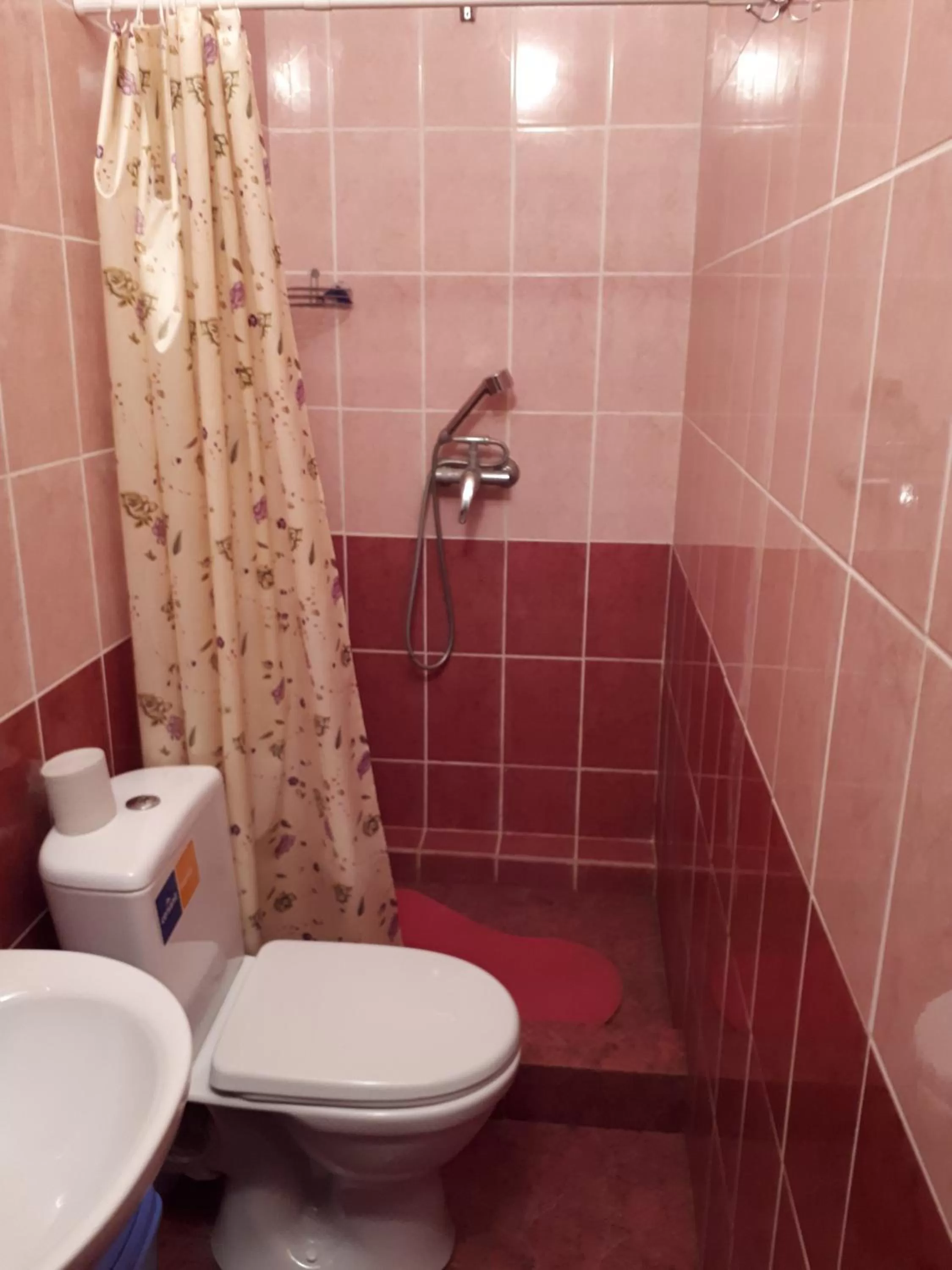 Shower in Hotel Gostynnyi Dvir