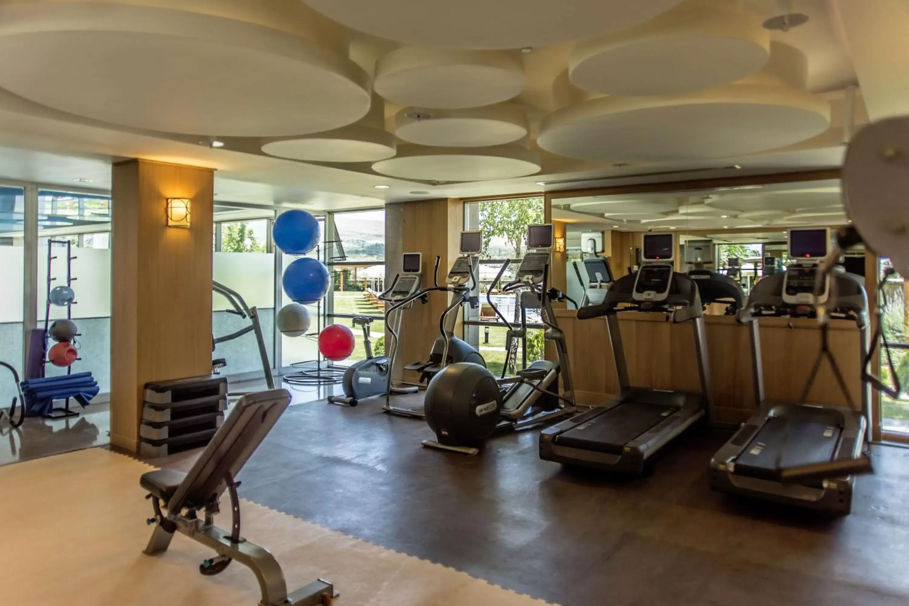 Fitness centre/facilities, Fitness Center/Facilities in DoubleTree By Hilton Avanos Cappadocia