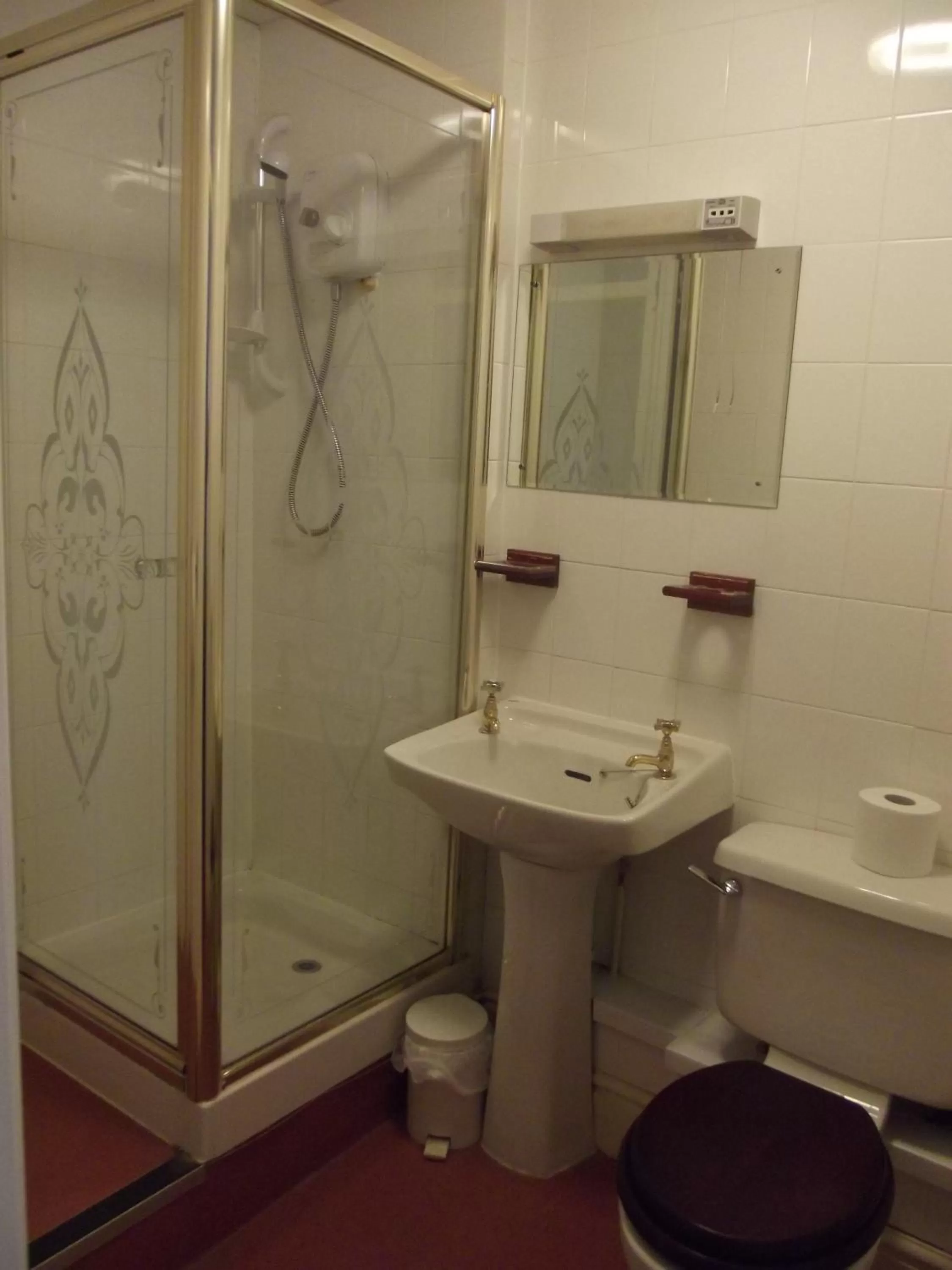 Toilet in Plas Coch Hotel Ltd