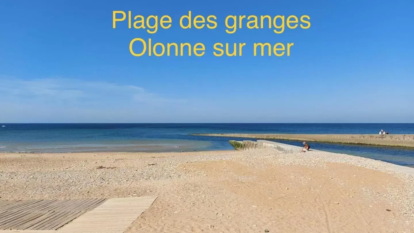 Natural landscape, Beach in L Atypique