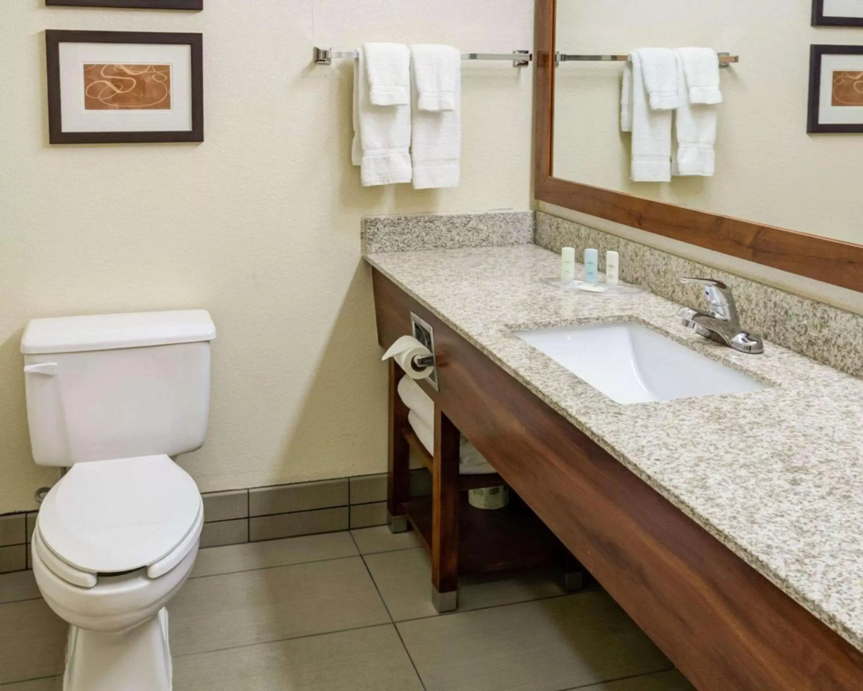 Bedroom, Bathroom in Comfort Suites Kansas City