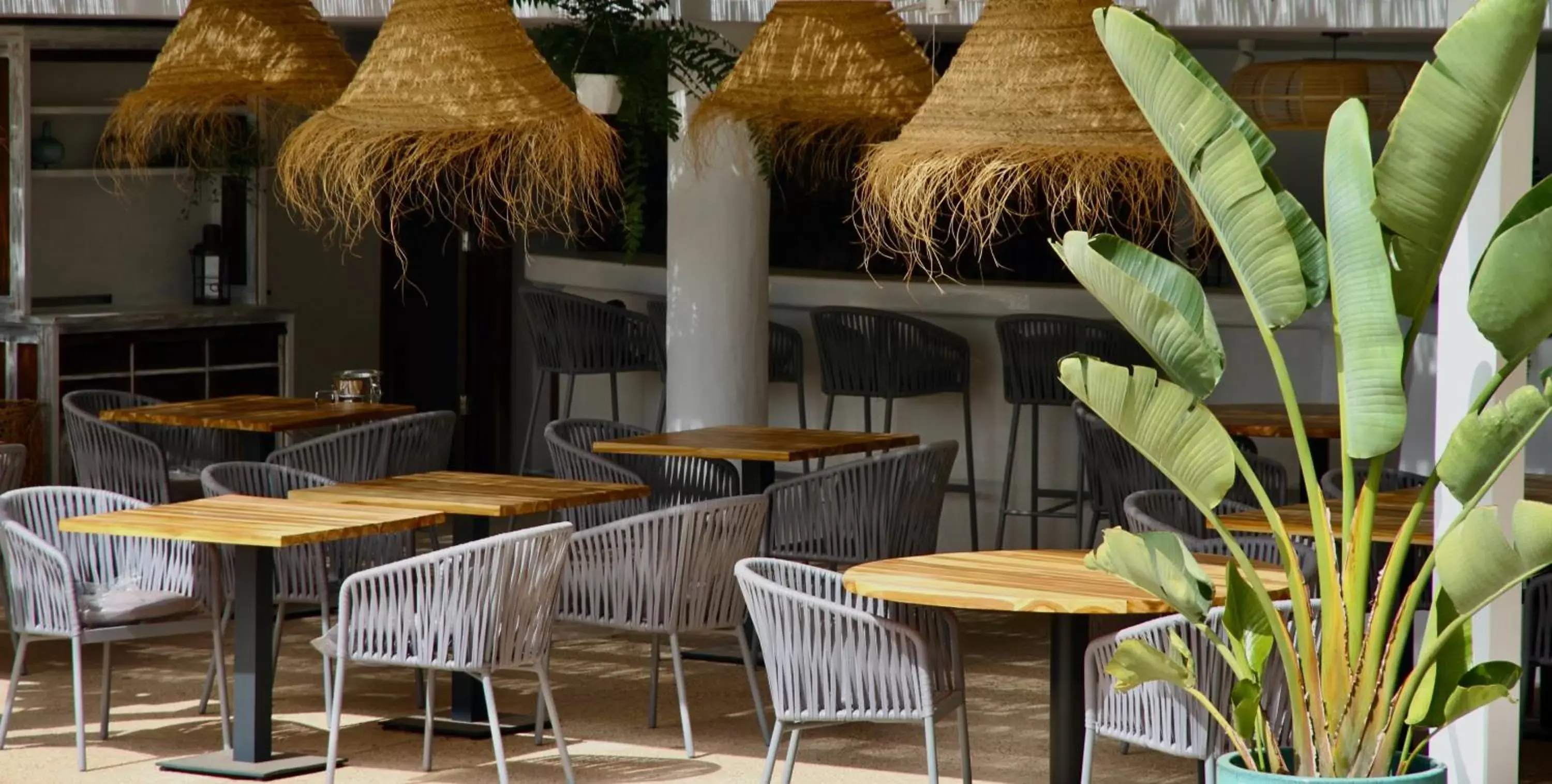 Restaurant/places to eat in Casas Heddy, Well-being Resort