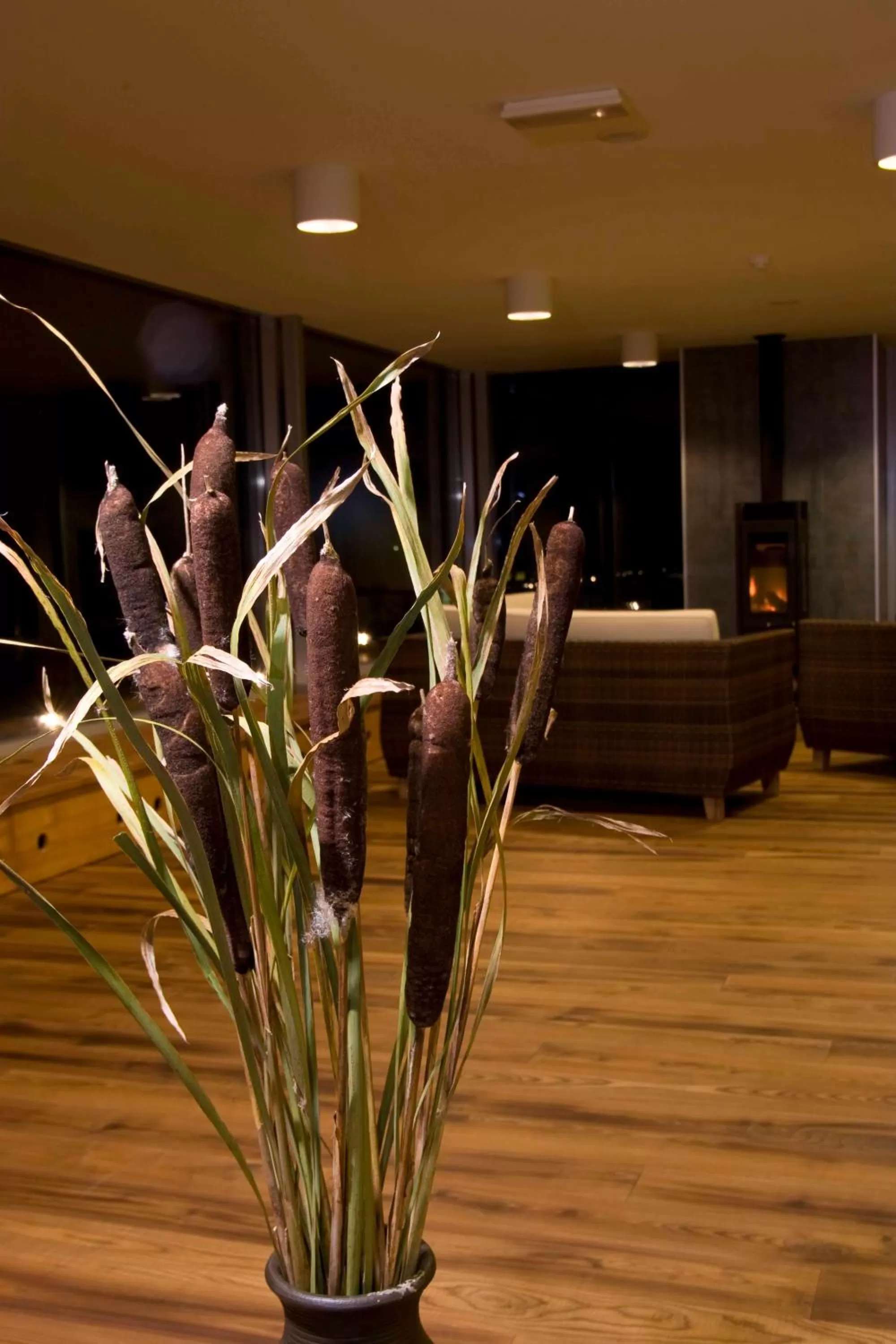 Other in Johan Design & SPA Hotel