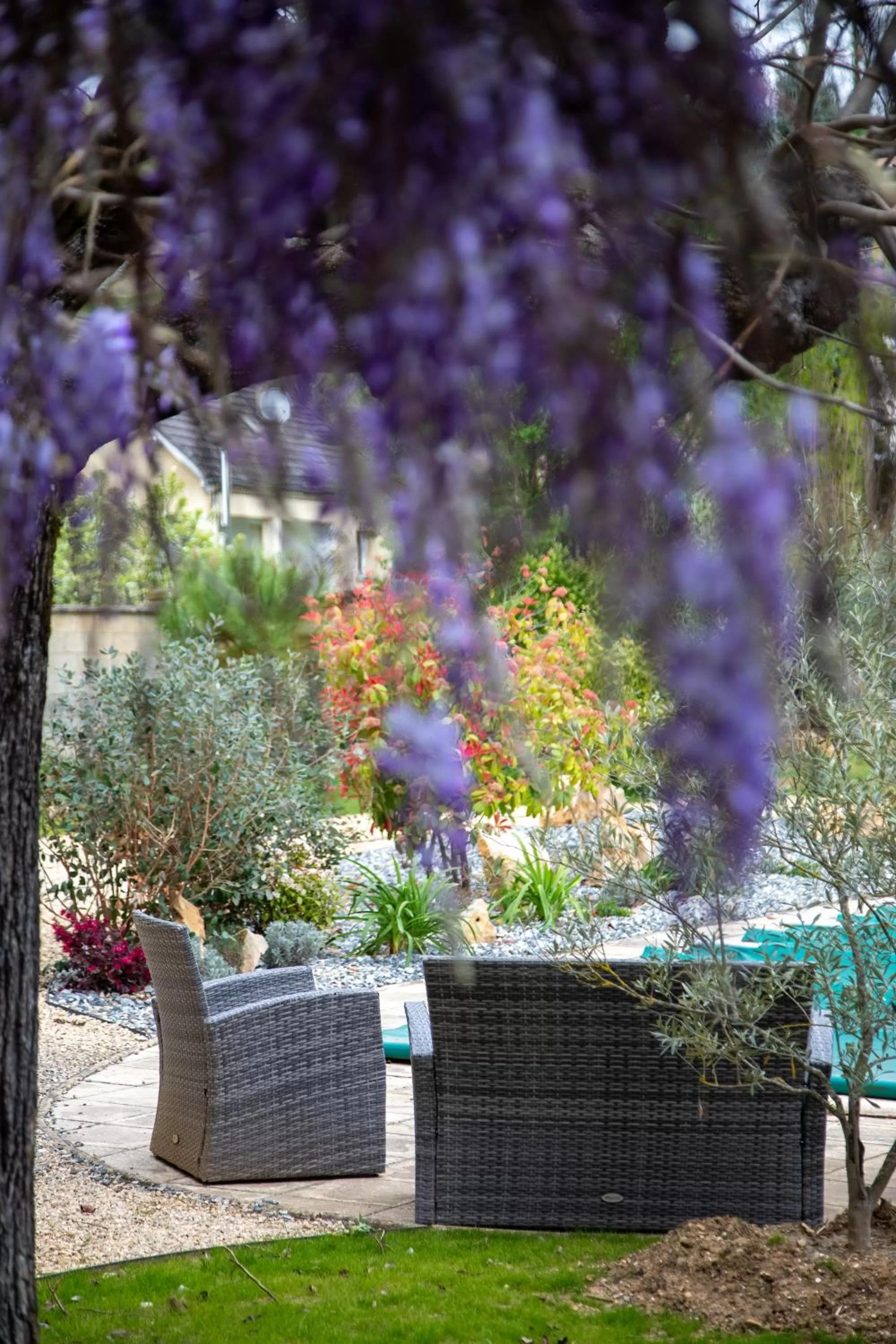 O'Myosotis - 400m Centre Historique - Parking Gratuit - Piscine et Jardin