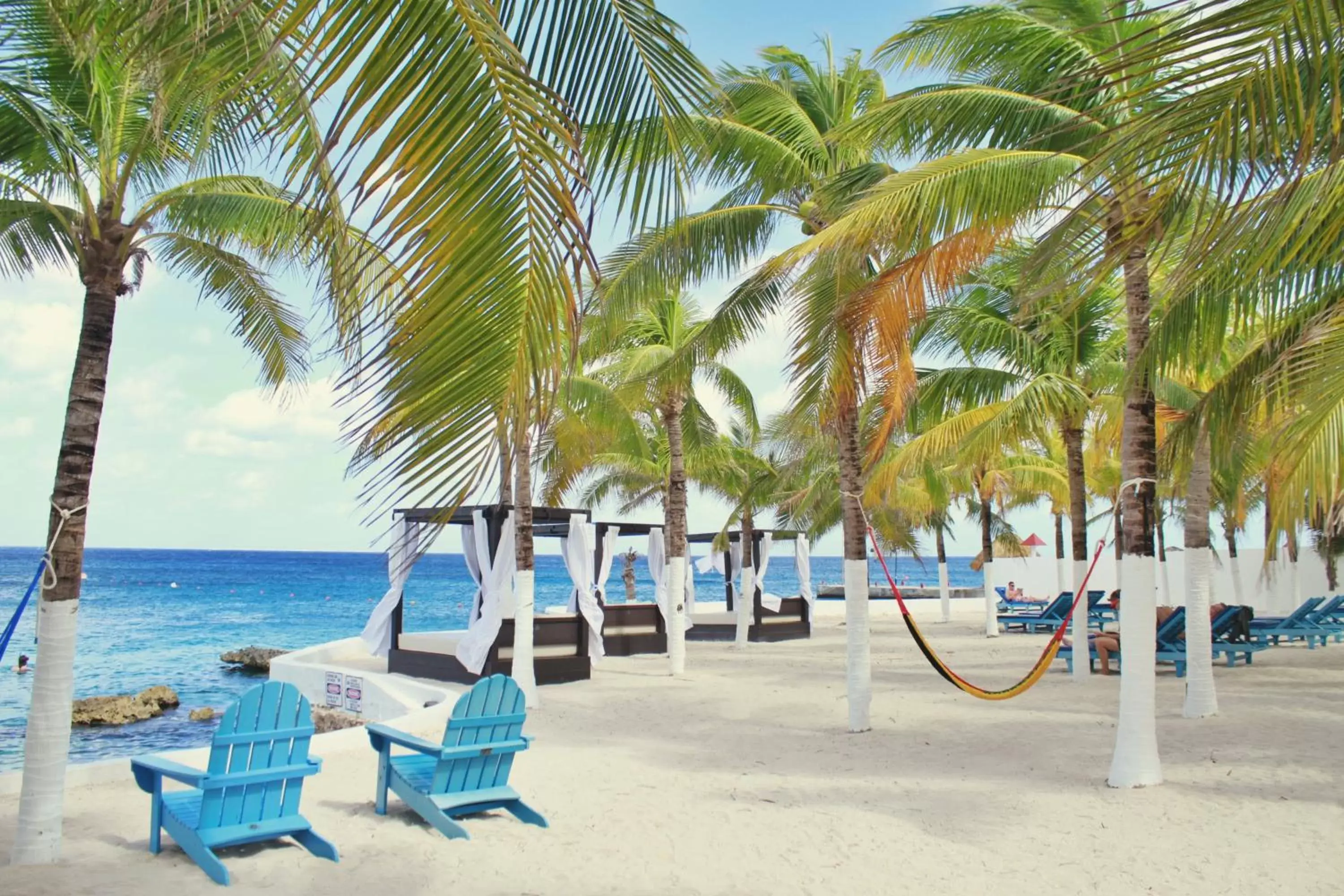 Beach, Swimming Pool in Cozumel Hotel & Resort Trademark Collection by Wyndham