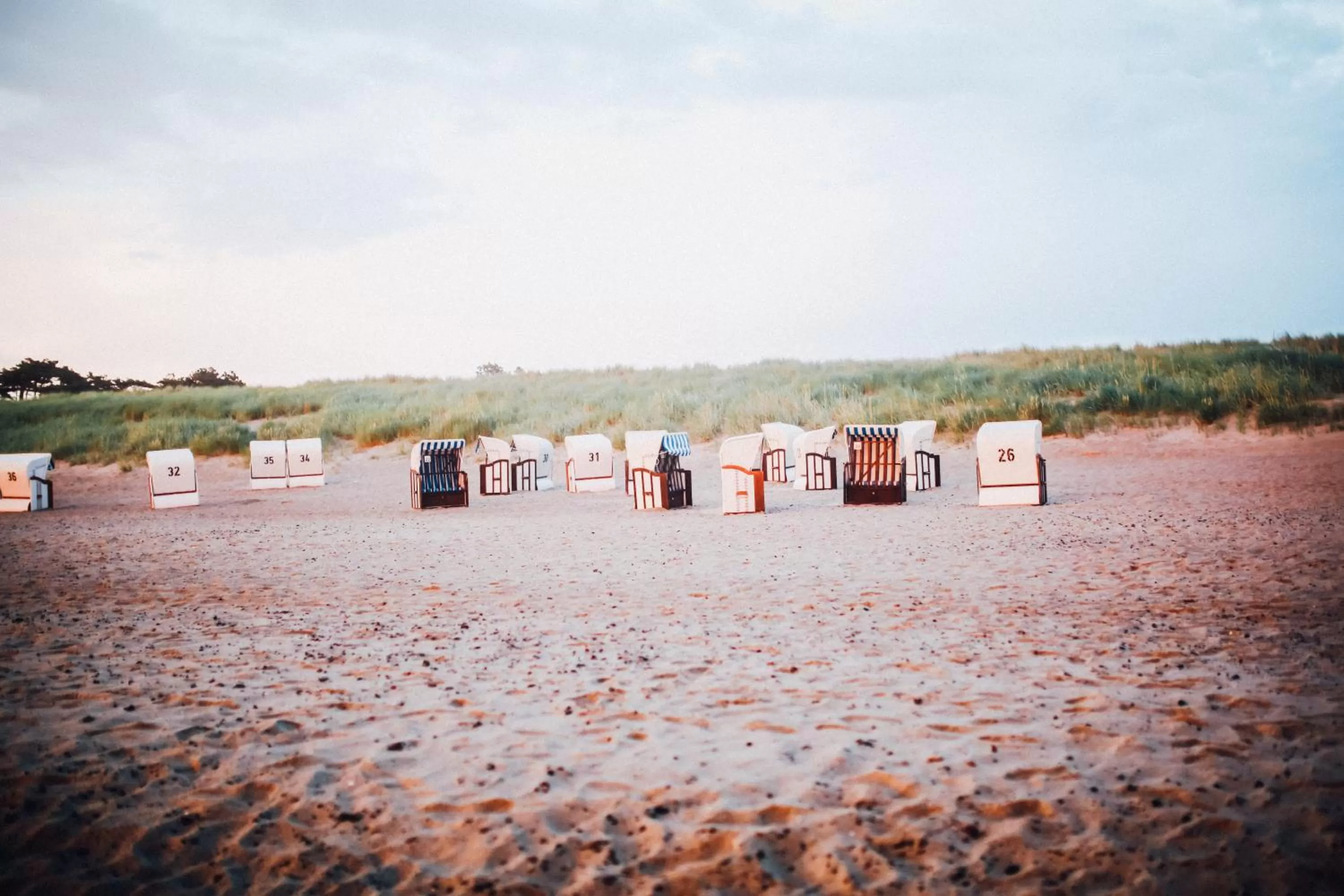 Beach in Ostseehotel Dierhagen