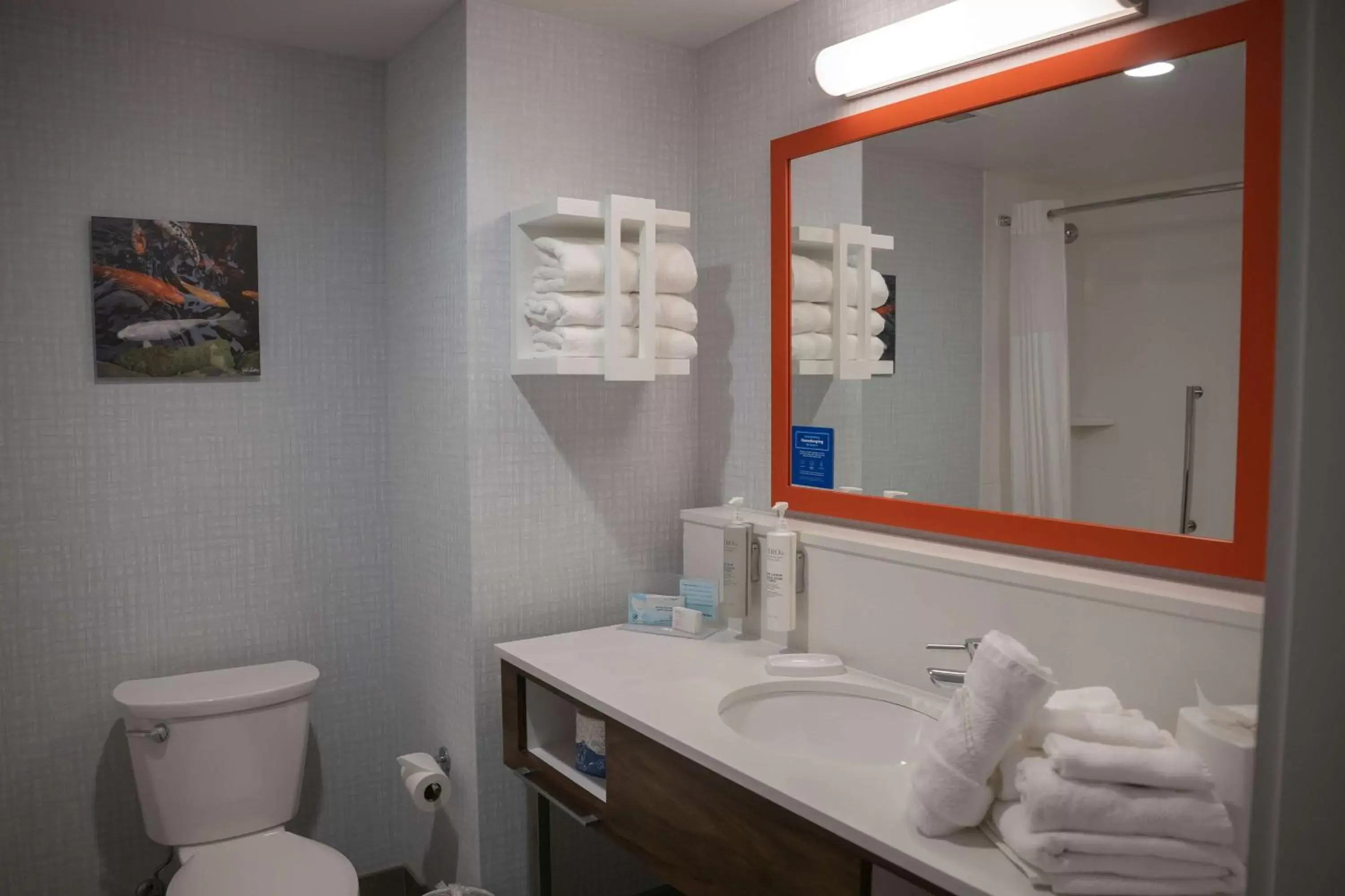 Bathroom in Hampton Inn & Suites Erie Bayfront