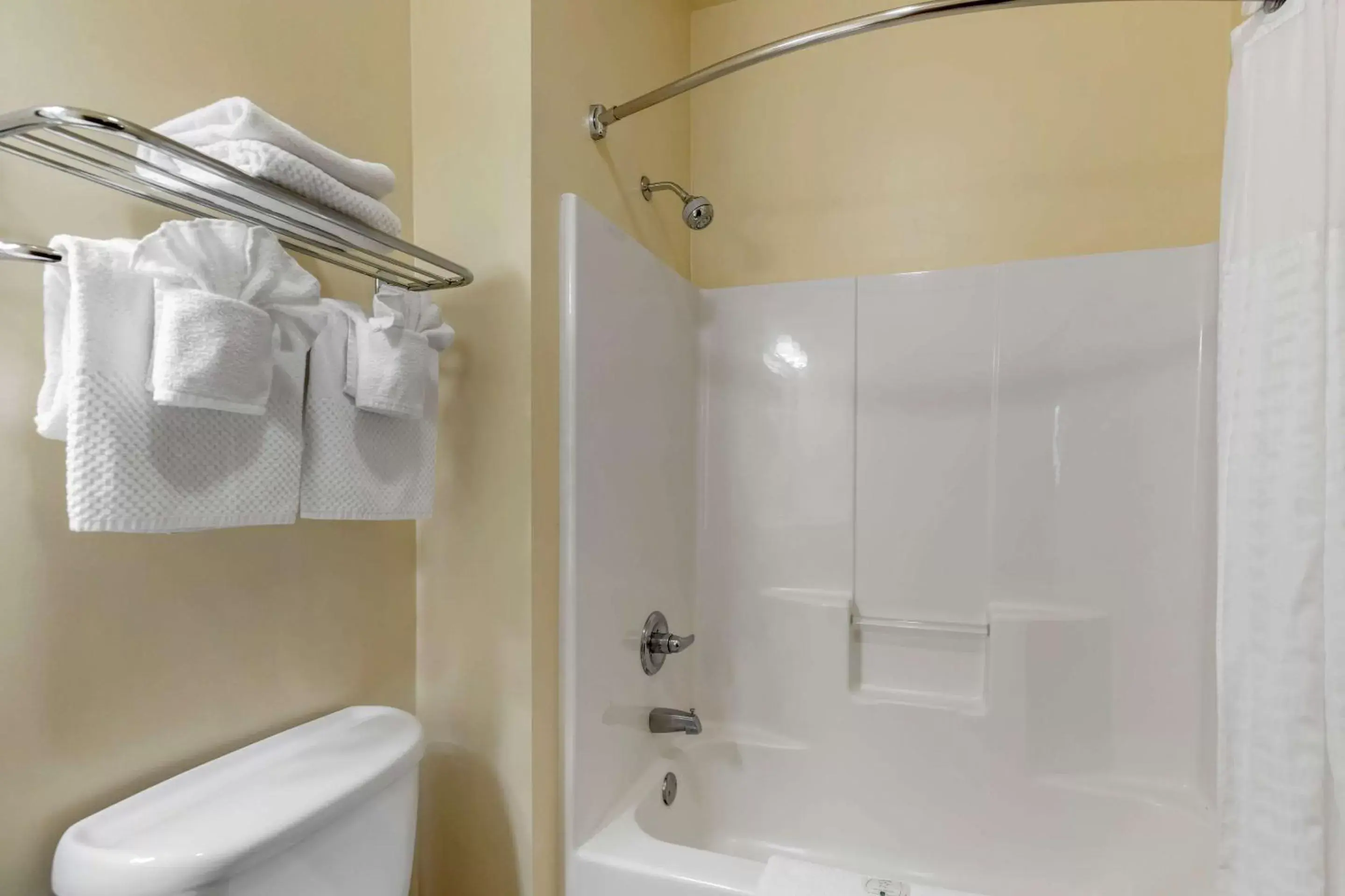 Bathroom in Quality Inn & Suites Wellington – Fort Collins