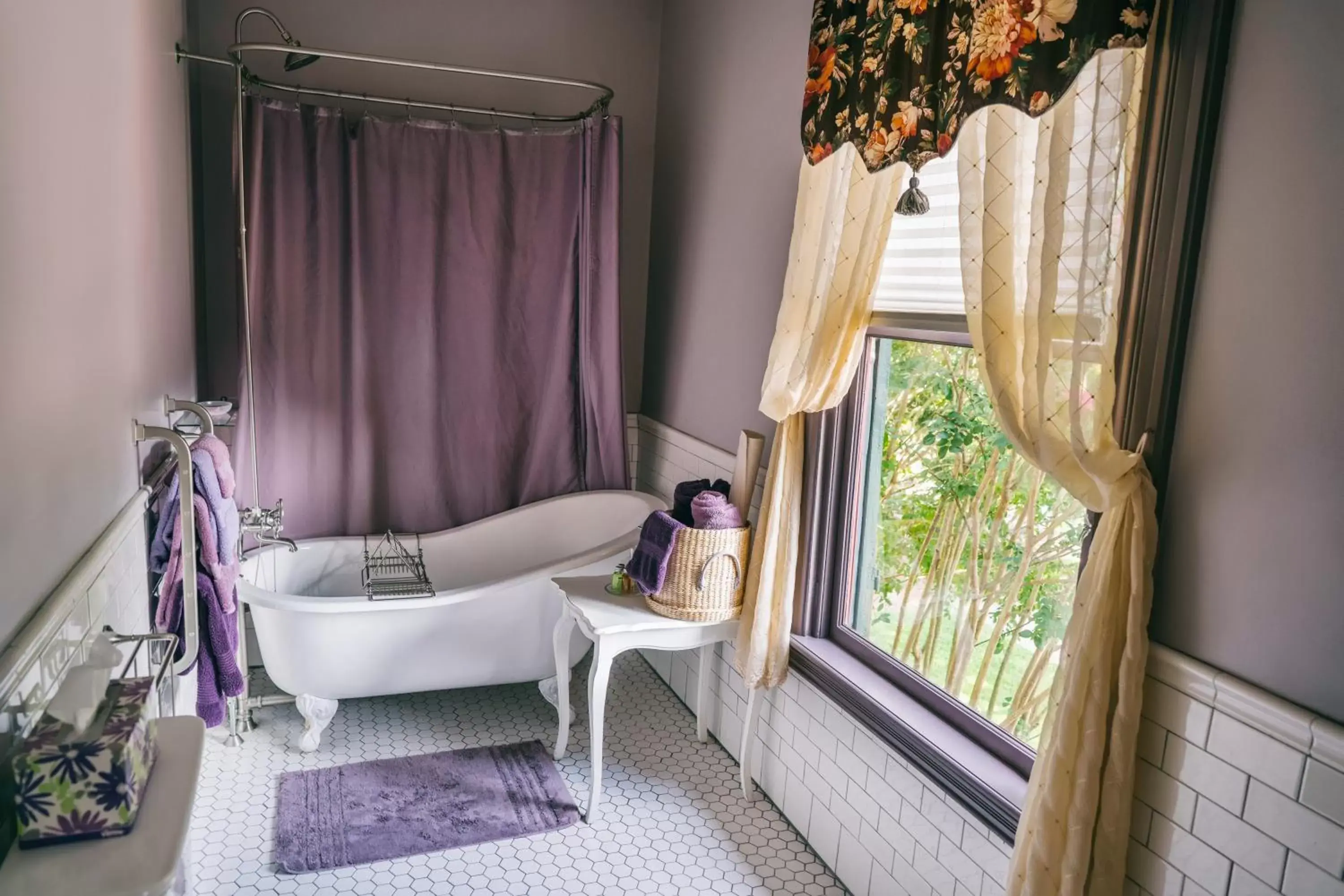 Shower, Seating Area in Hummingbird Inn