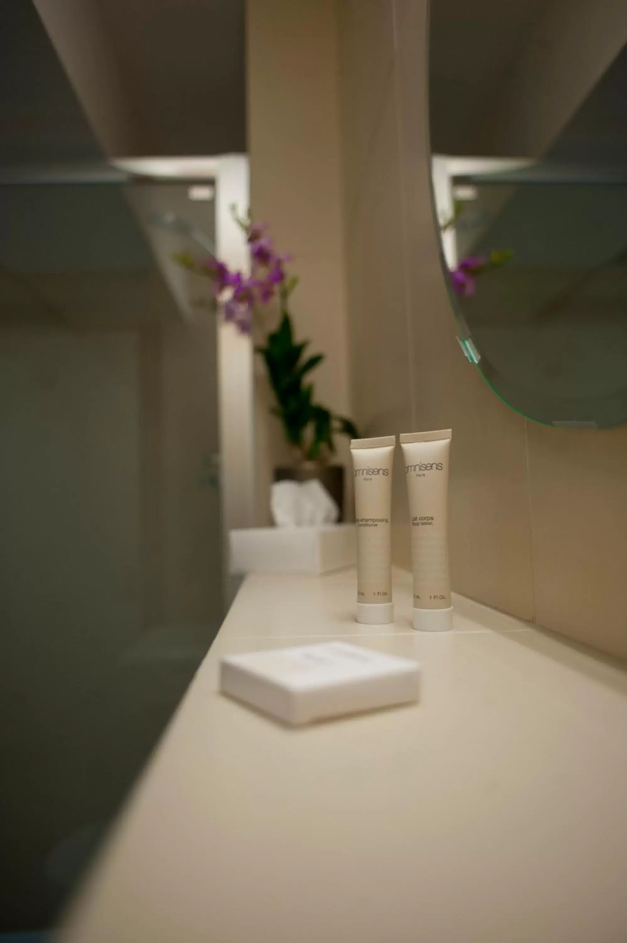 Decorative detail, Bathroom in Chamois d'Or Hotel