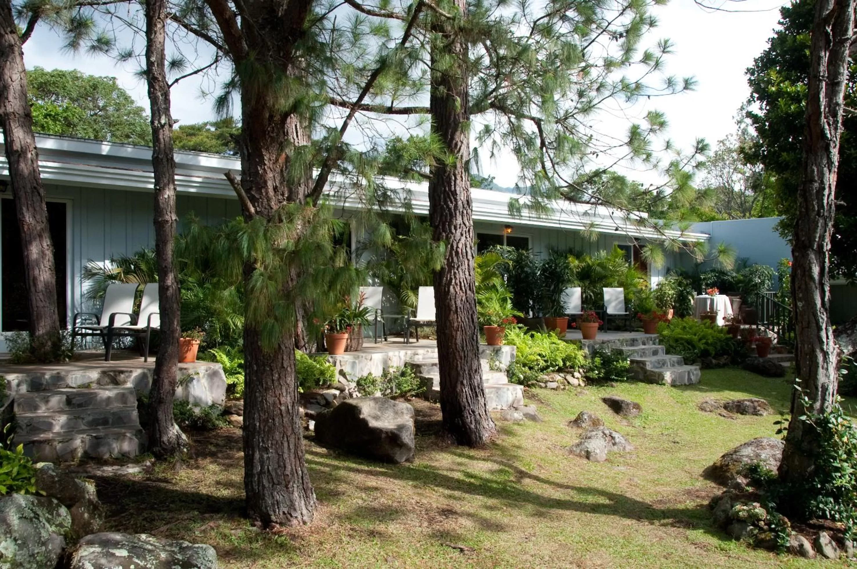 Garden in Hotel Panamonte