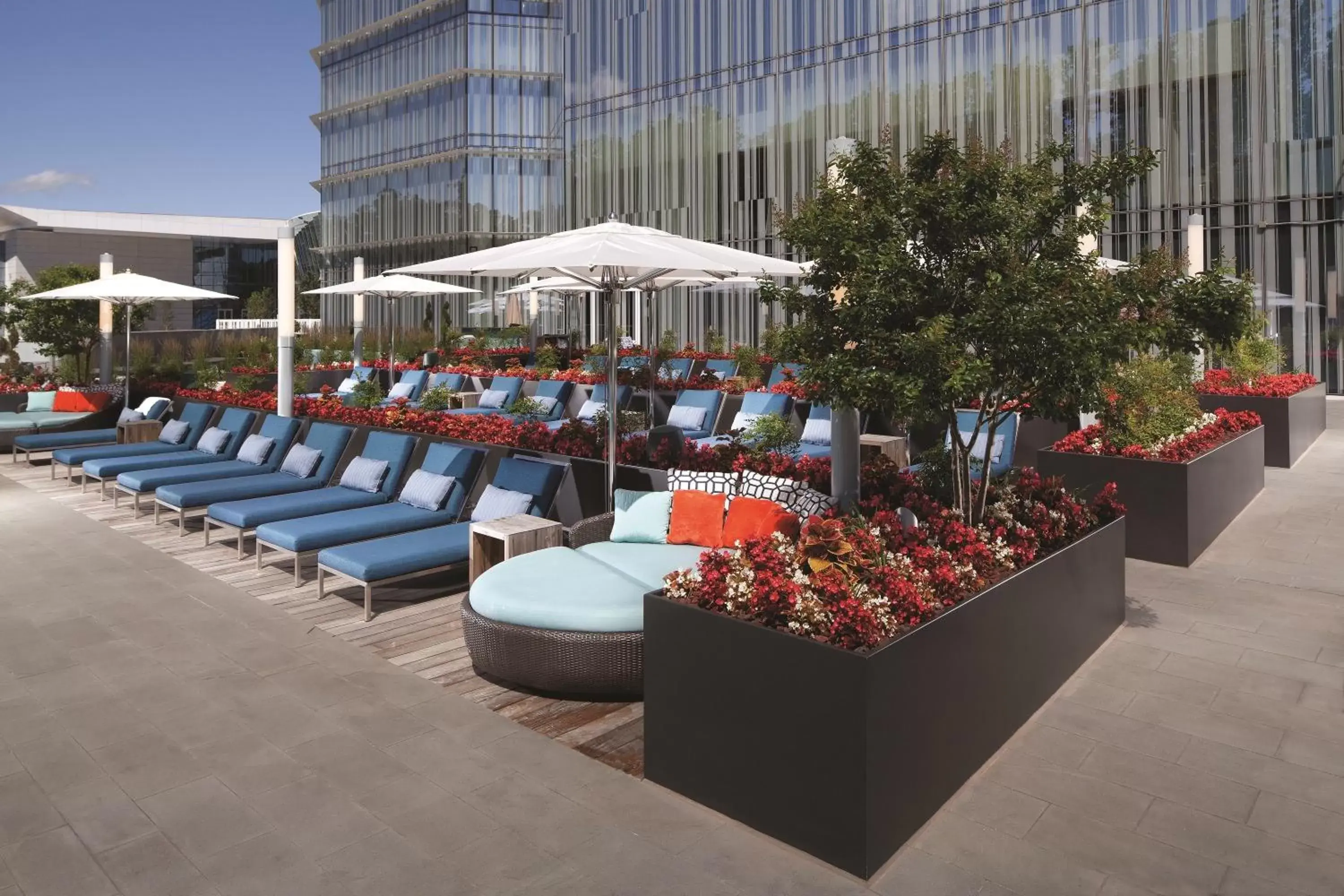 Swimming pool in MGM National Harbor Swimming pool in MGM National Harbor