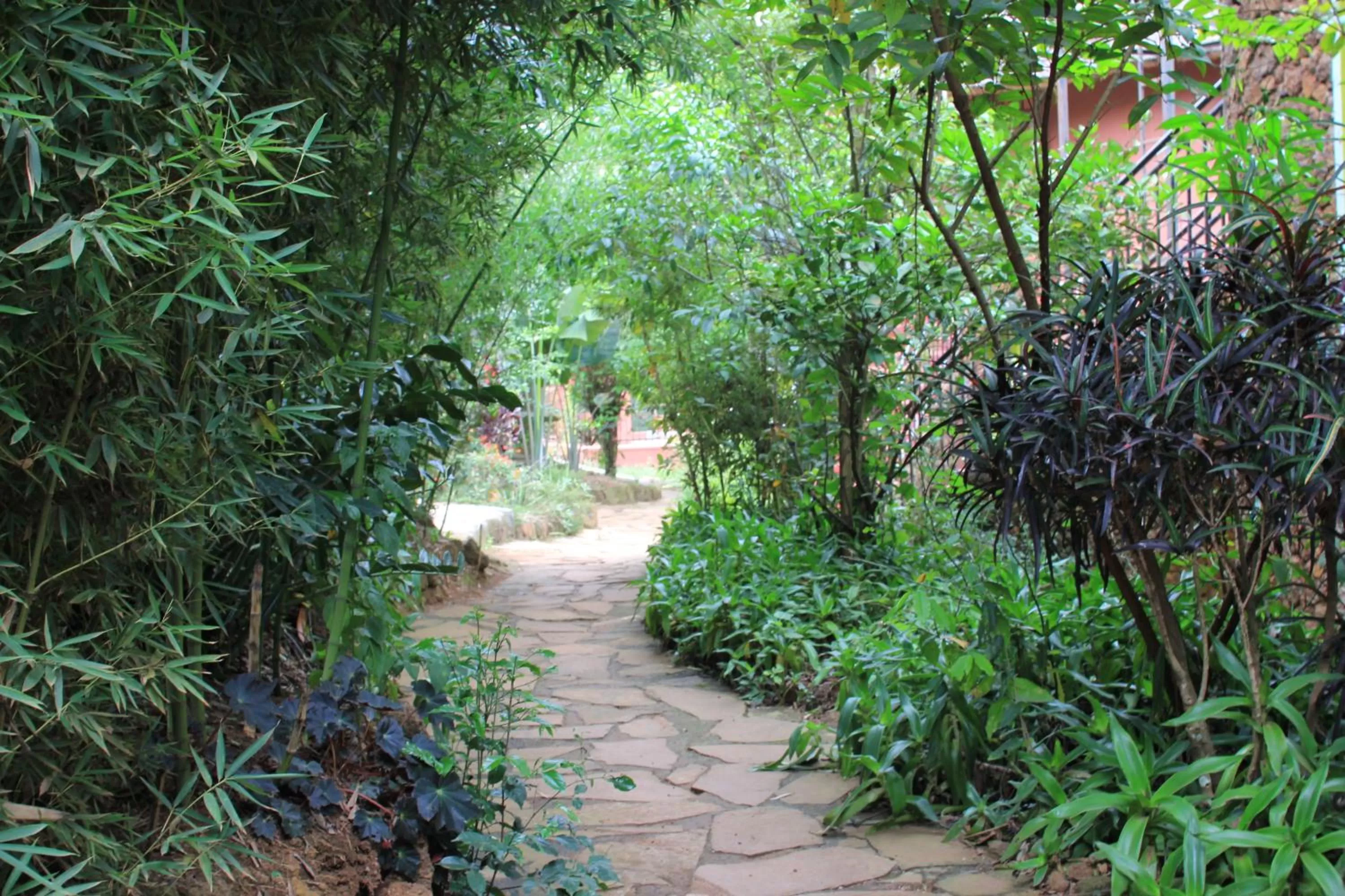 Natural landscape in Governors Club