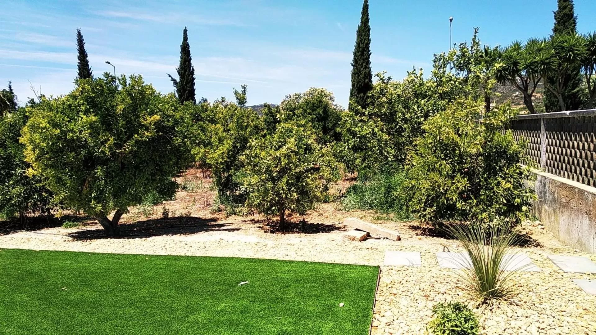 Garden in Vila Milreu Guest House