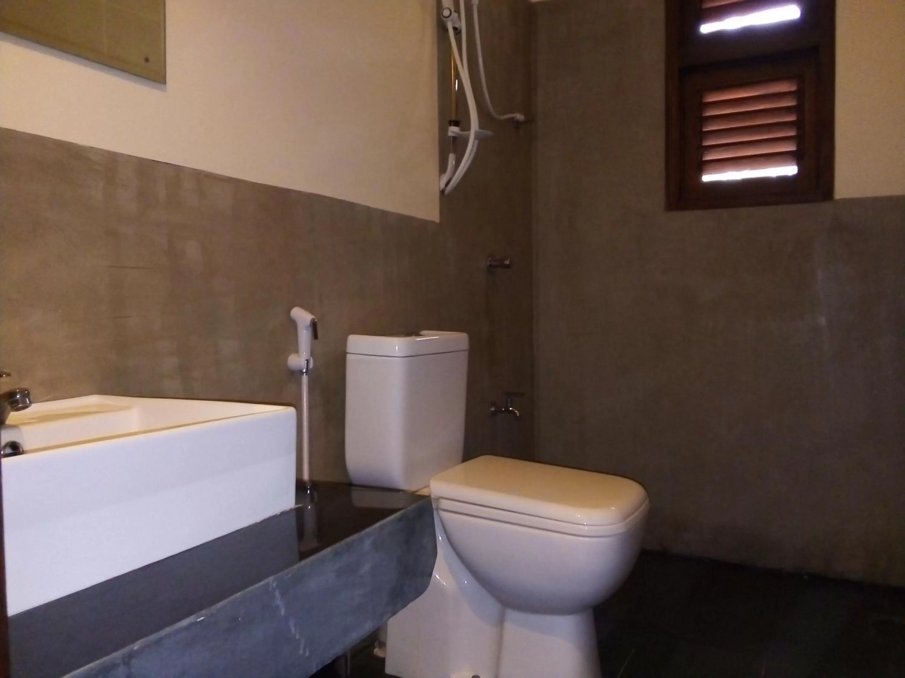 Toilet in Lake Bliss