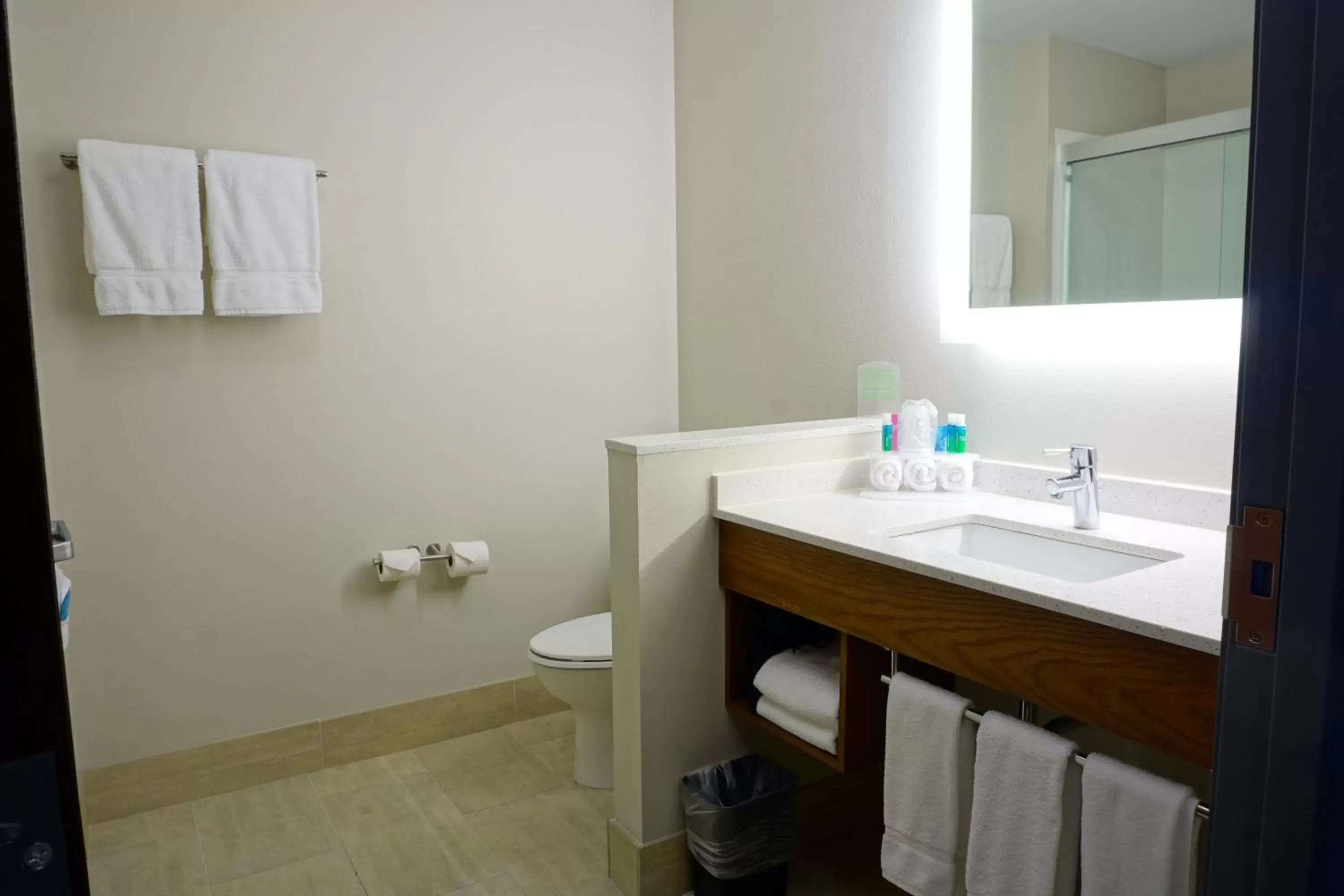 Bathroom in Holiday Inn Express & Suites Omaha - Millard Area, an IHG Hotel