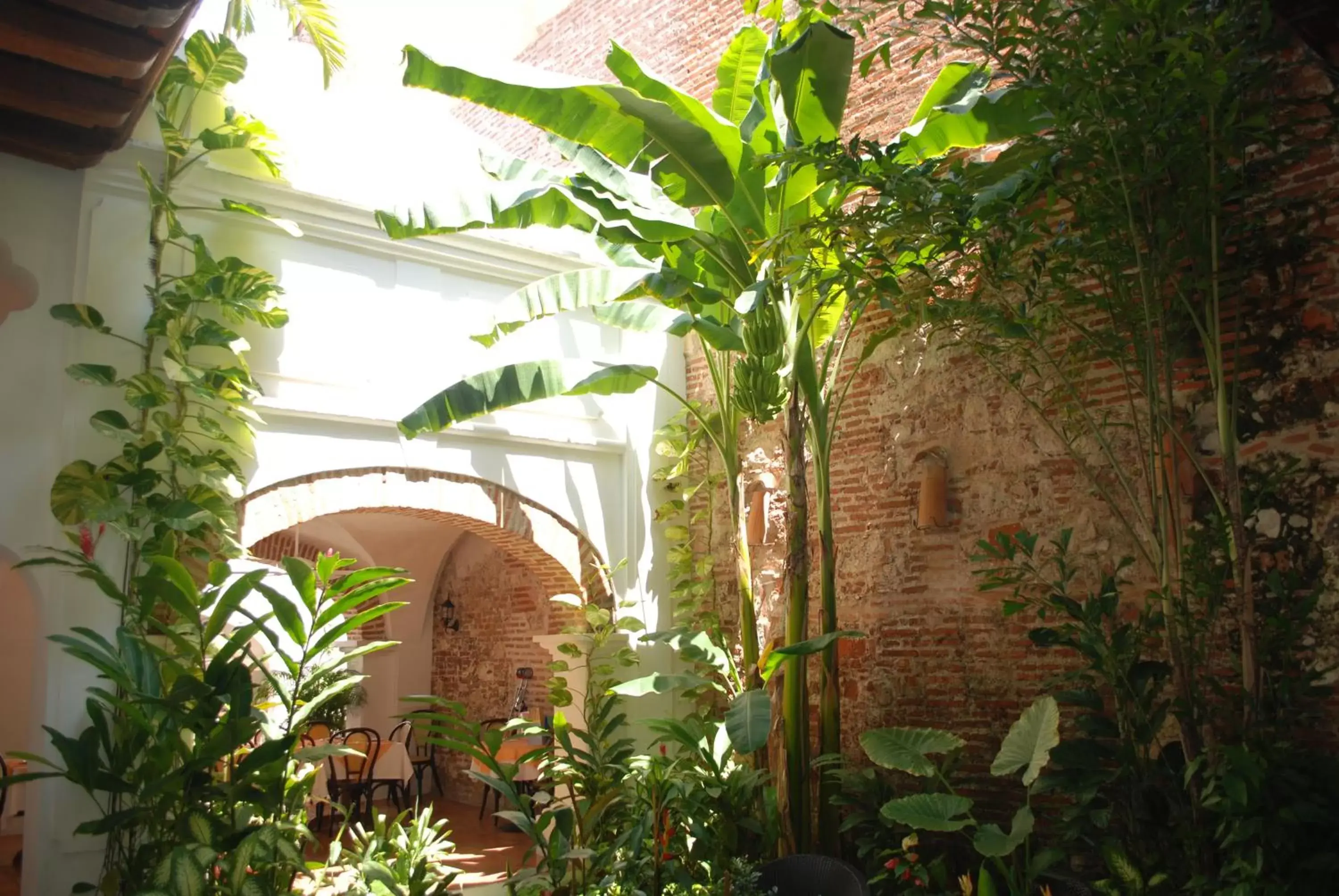 Garden, Facade/Entrance in Alfiz Hotel