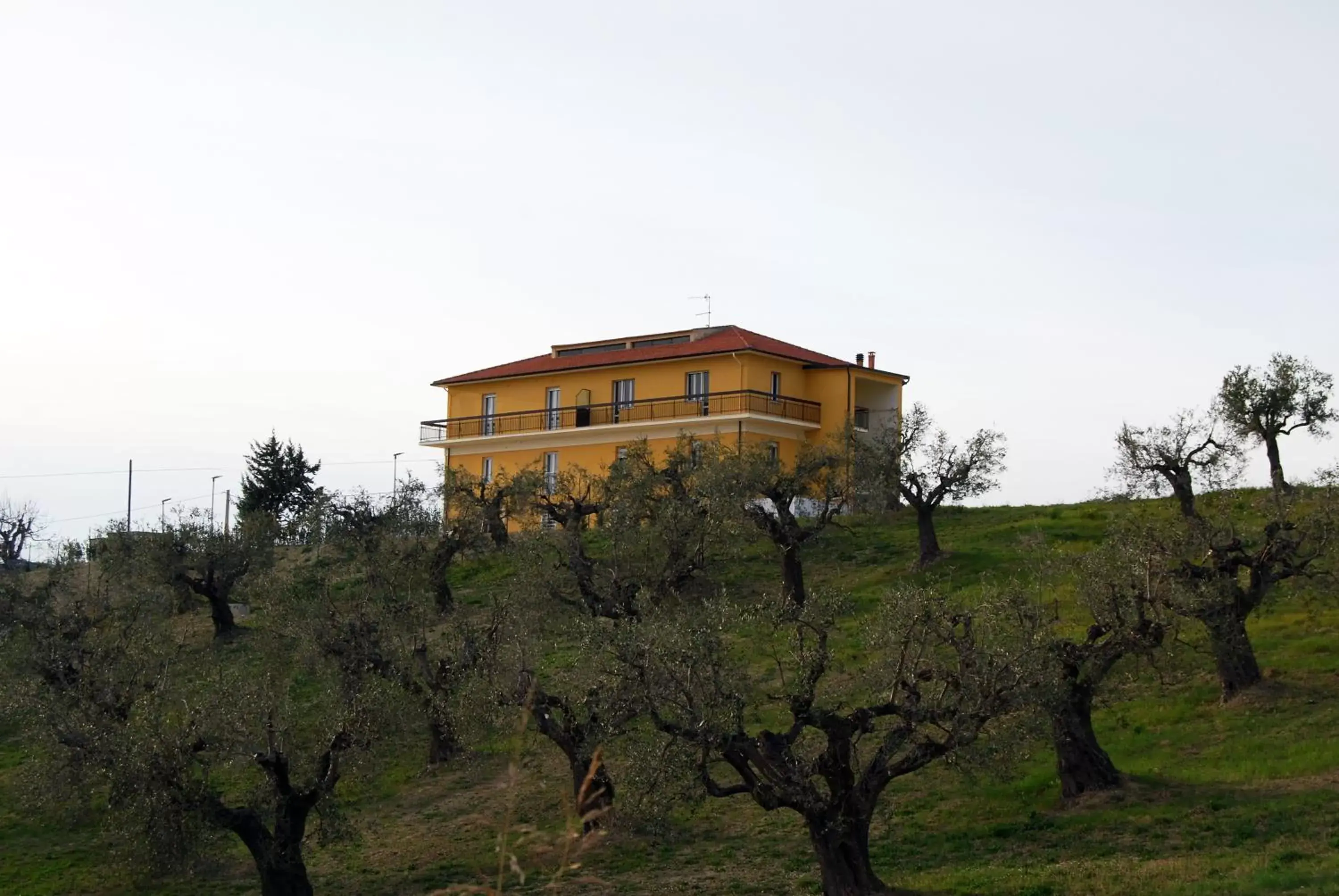 Property Building in Residence Borgo Offida