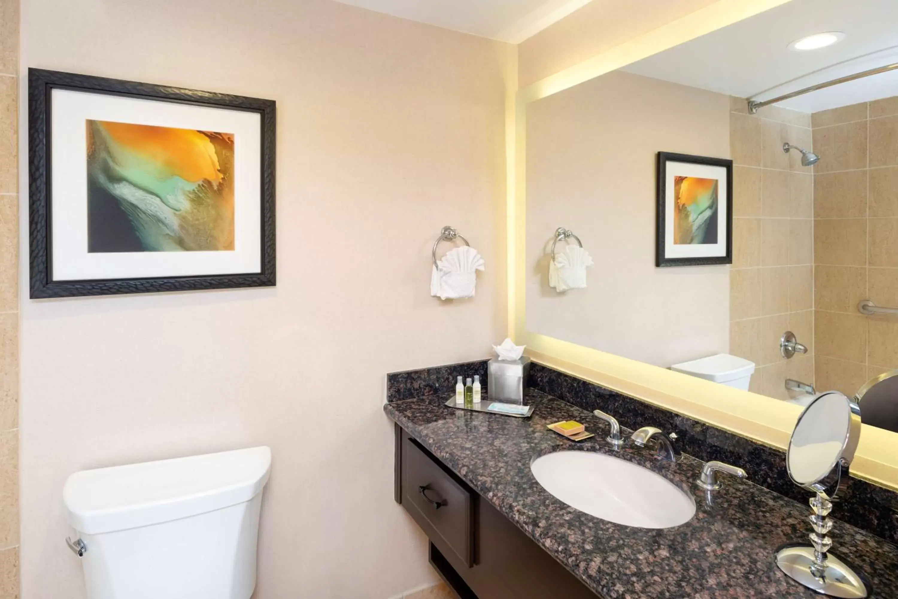 Bathroom in DoubleTree by Hilton San Bernardino