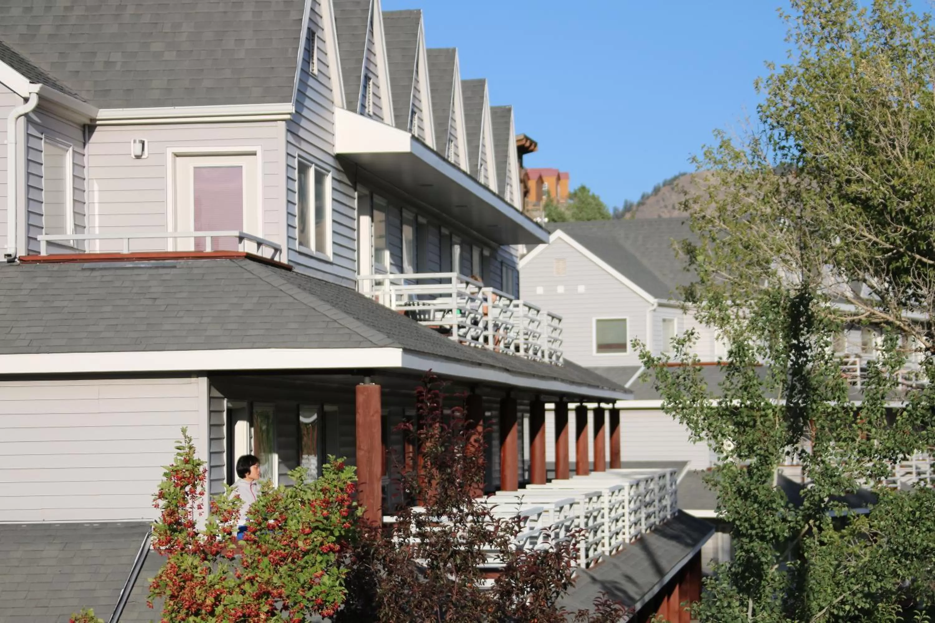 Property building in Absaroka Lodge