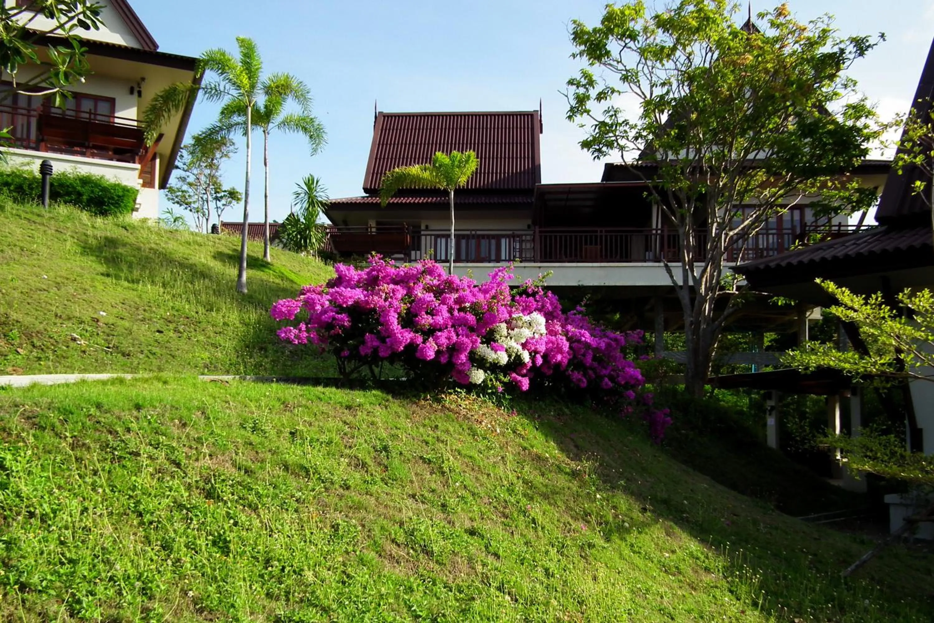 Garden in Baan KanTiang See Villas - SHA Extra Plus