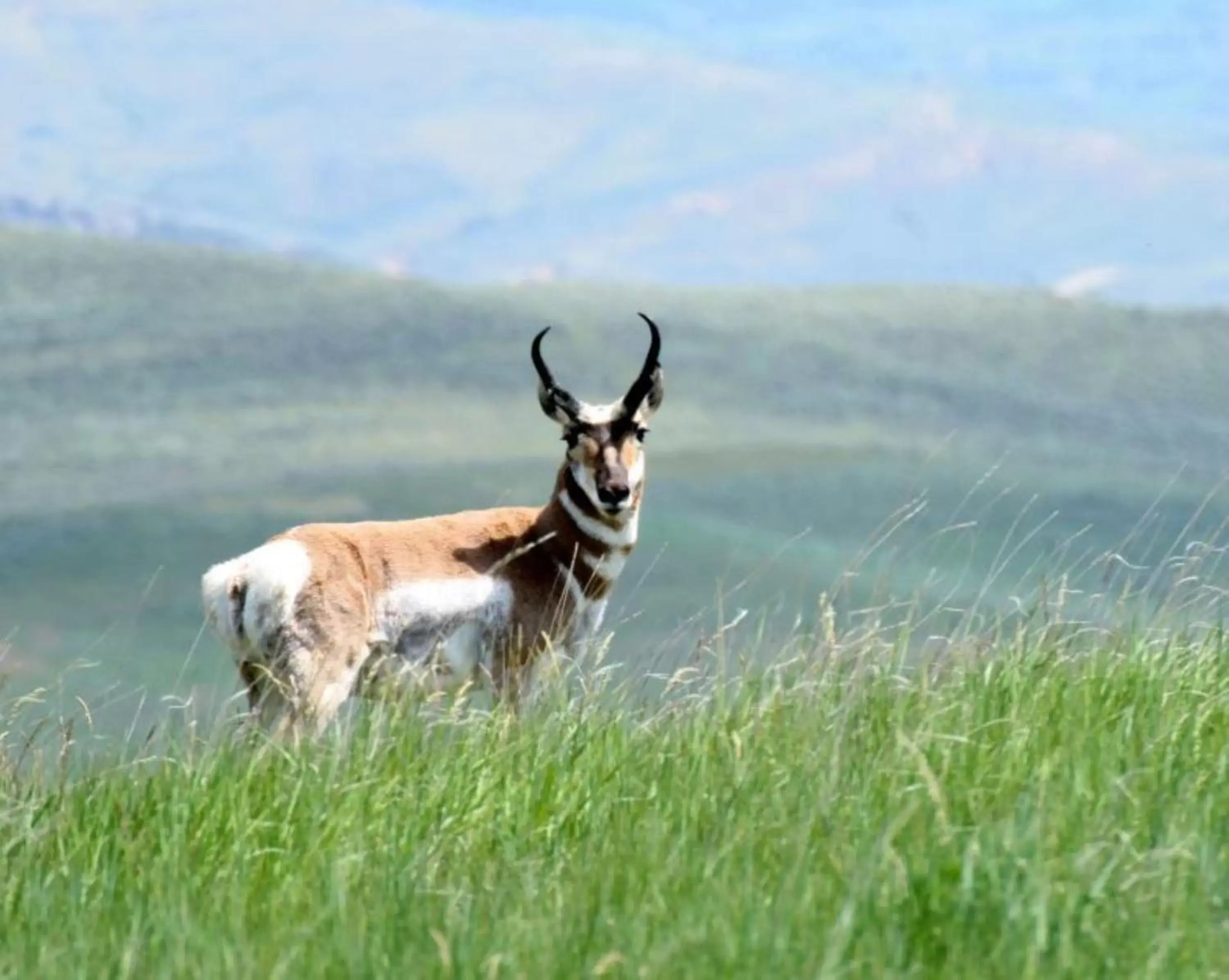 Nearby landmark in Candlewood Suites Craig-Northwest by IHG Nearby landmark in Candlewood Suites Craig-Northwest by IHG