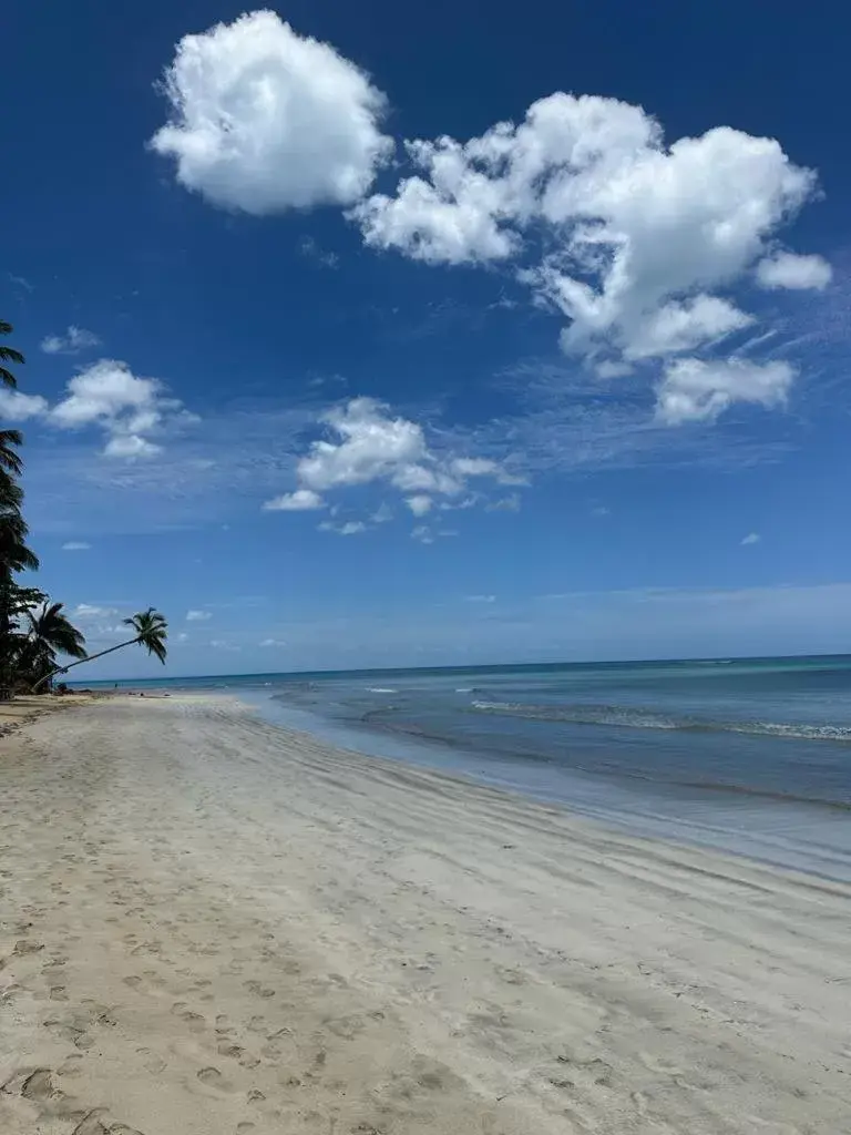 Beach in Hotel Casa Coson