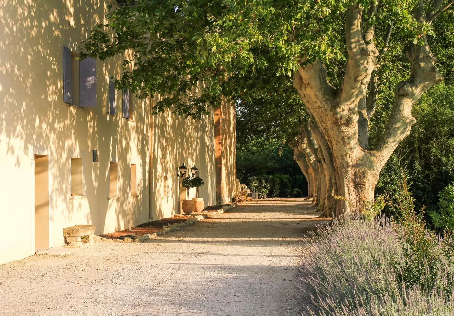 Facade/entrance in Les Carmes and spa