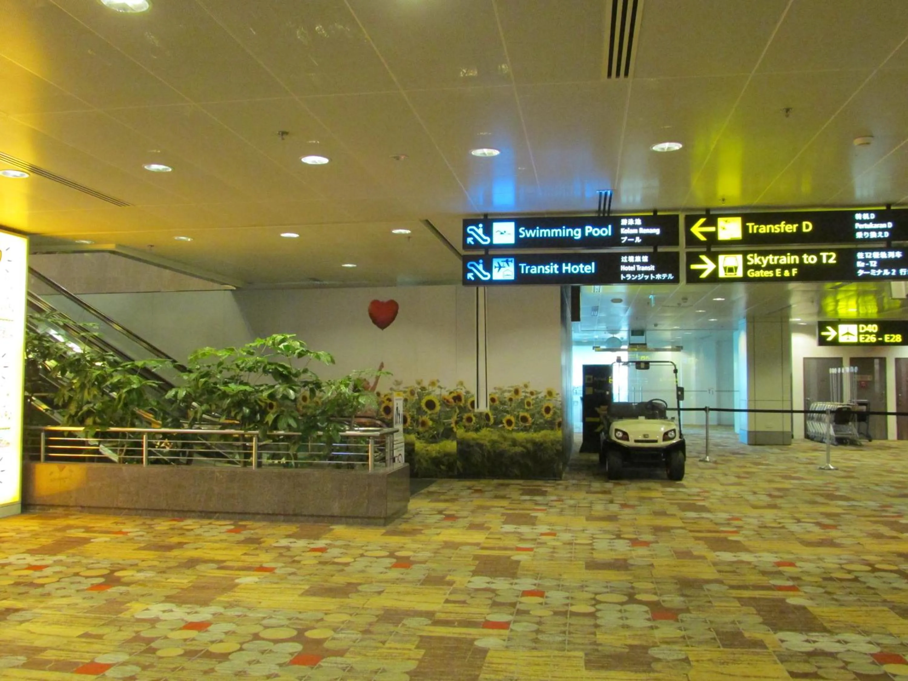 Area and facilities in Aerotel Singapore - Transit Hotel in Terminal 1