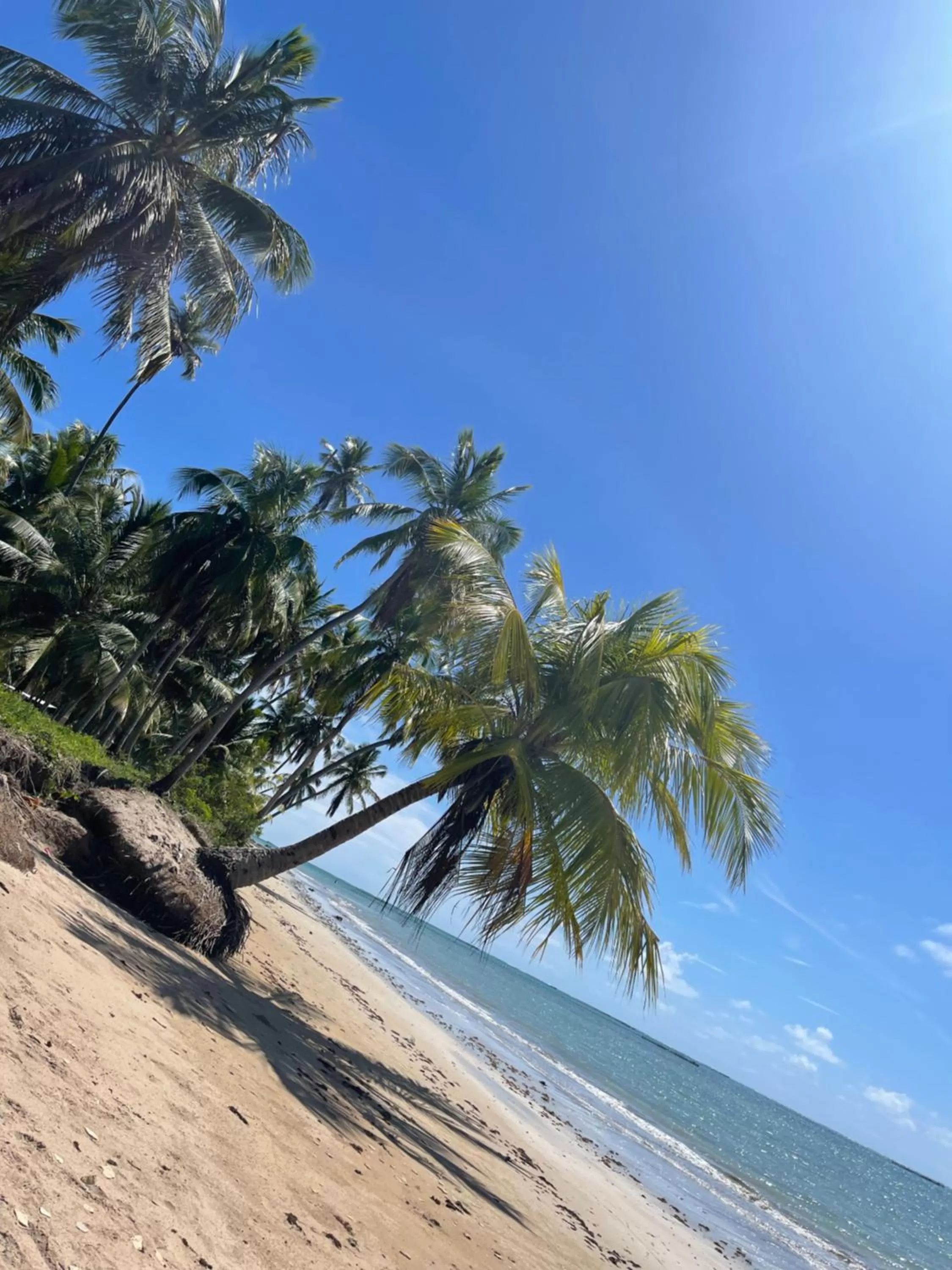 Day in Chalé Palhano Beach