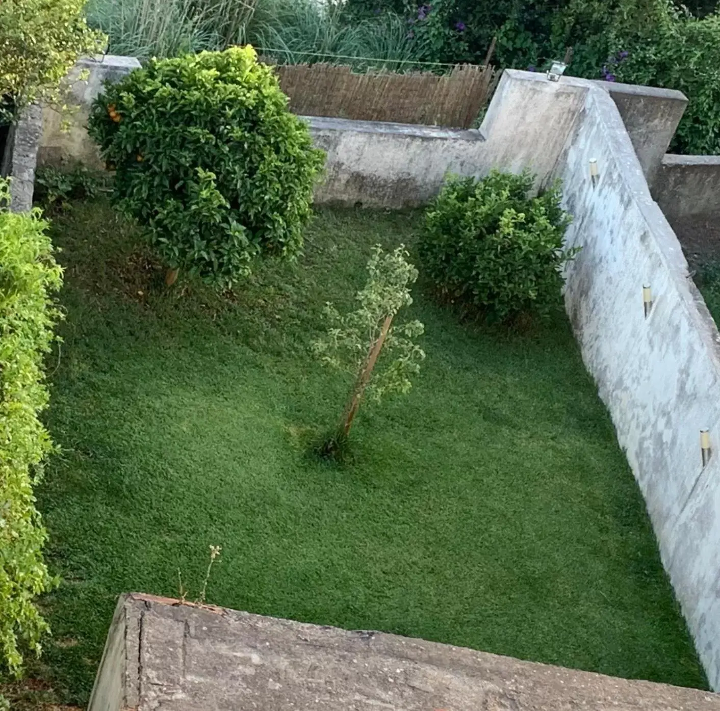 Garden in Campanhã Boutique Station