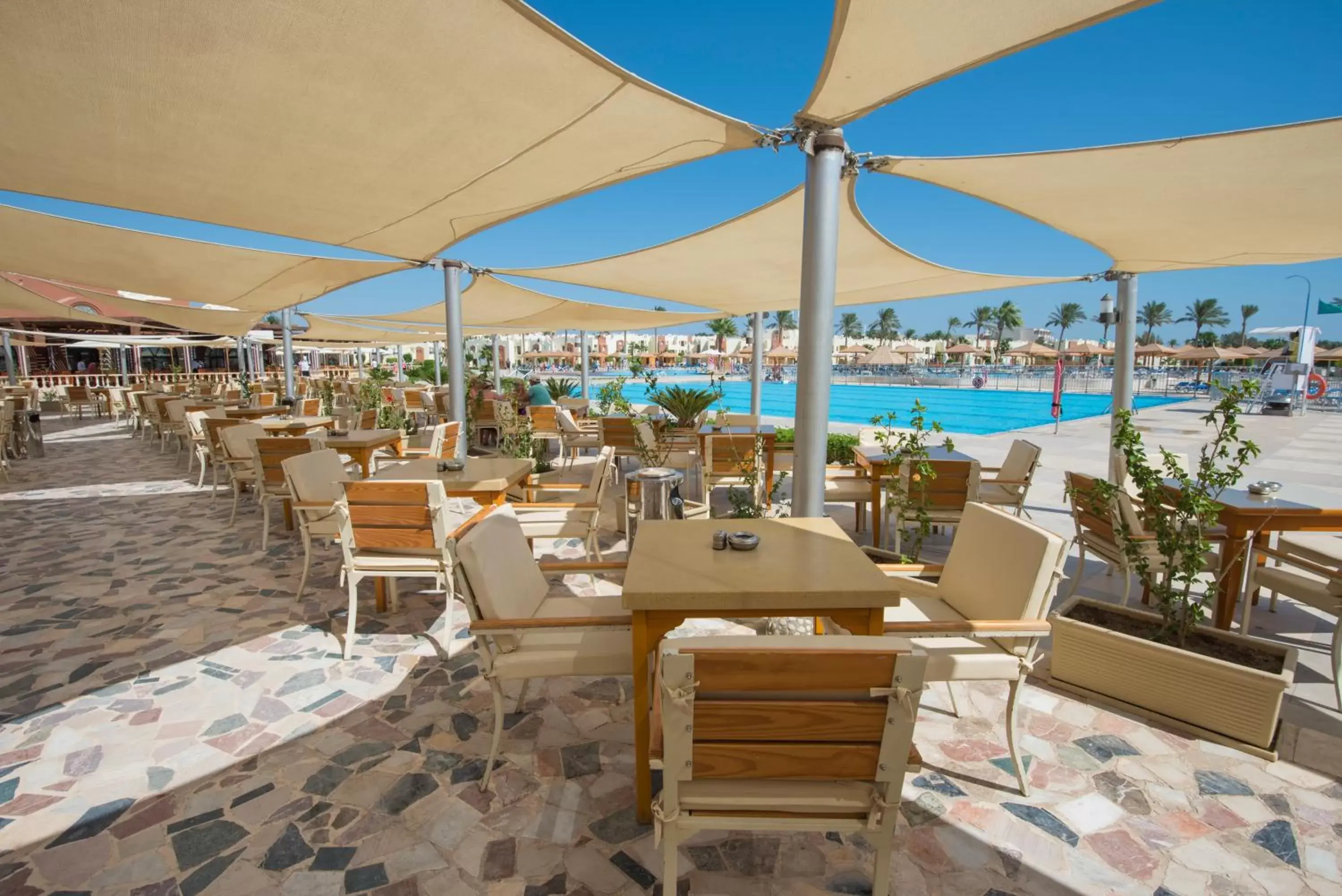 Lounge or bar, Restaurant/Places to Eat in Sunrise Royal Makadi Resort