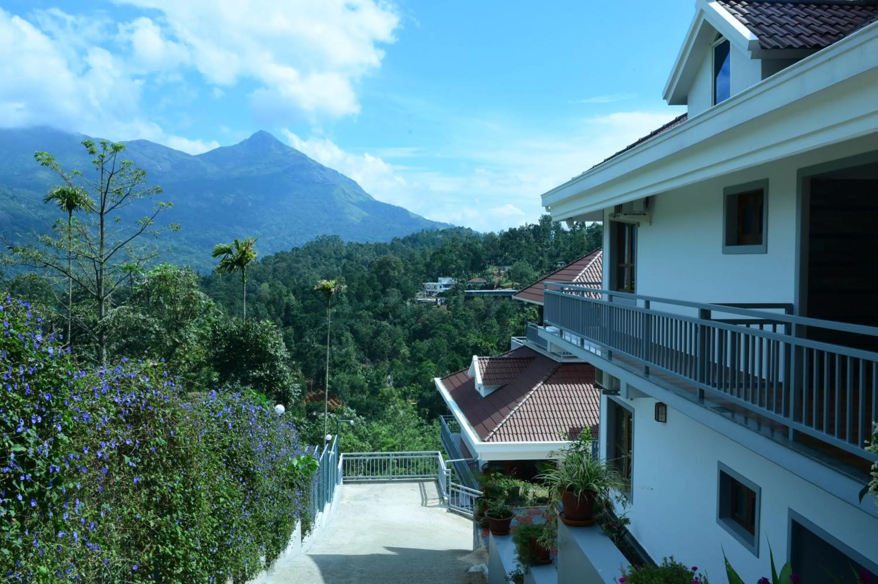 Street view in Zenha Resorts
