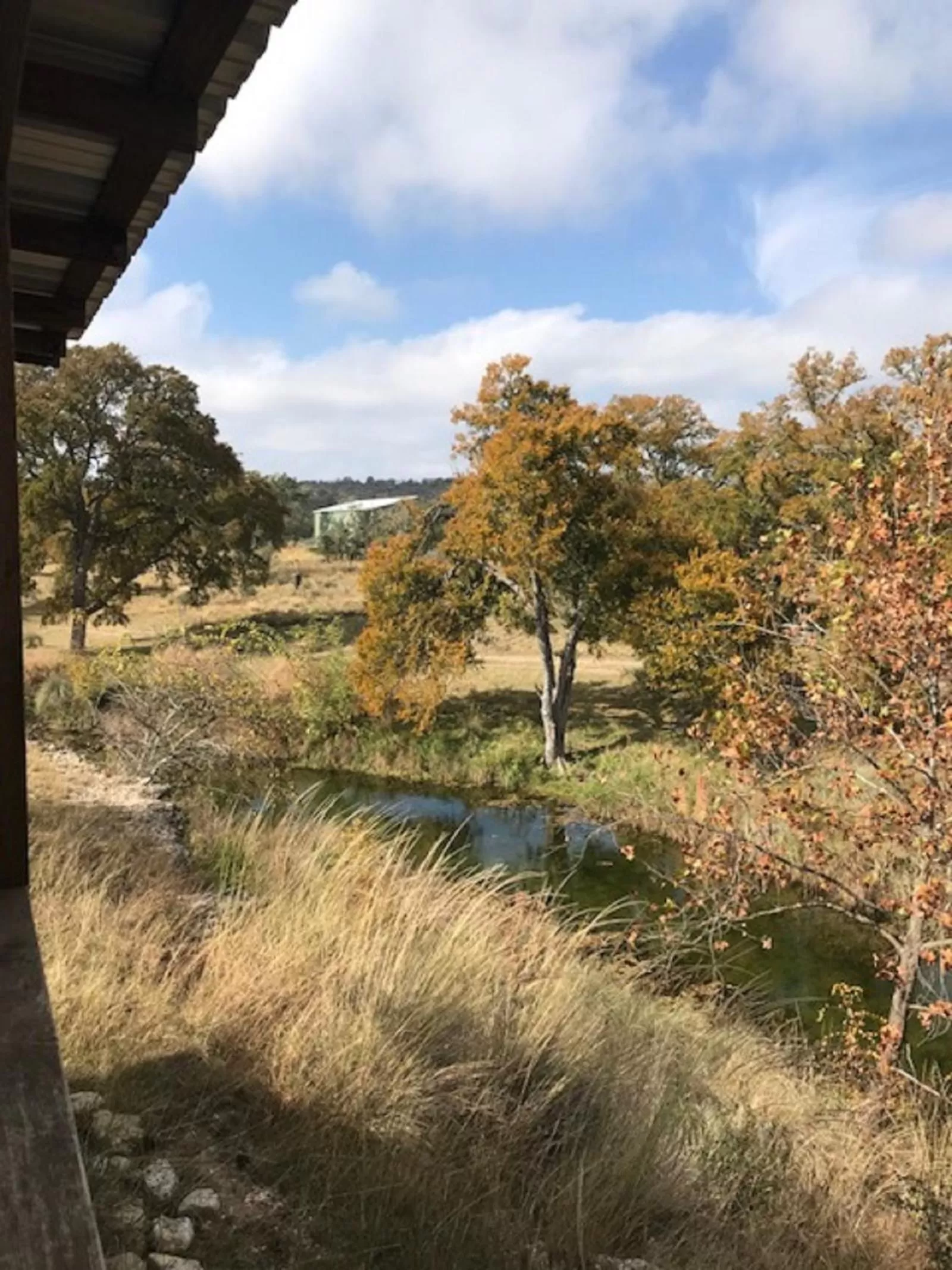Property building in City on a Hill at Spring Creek