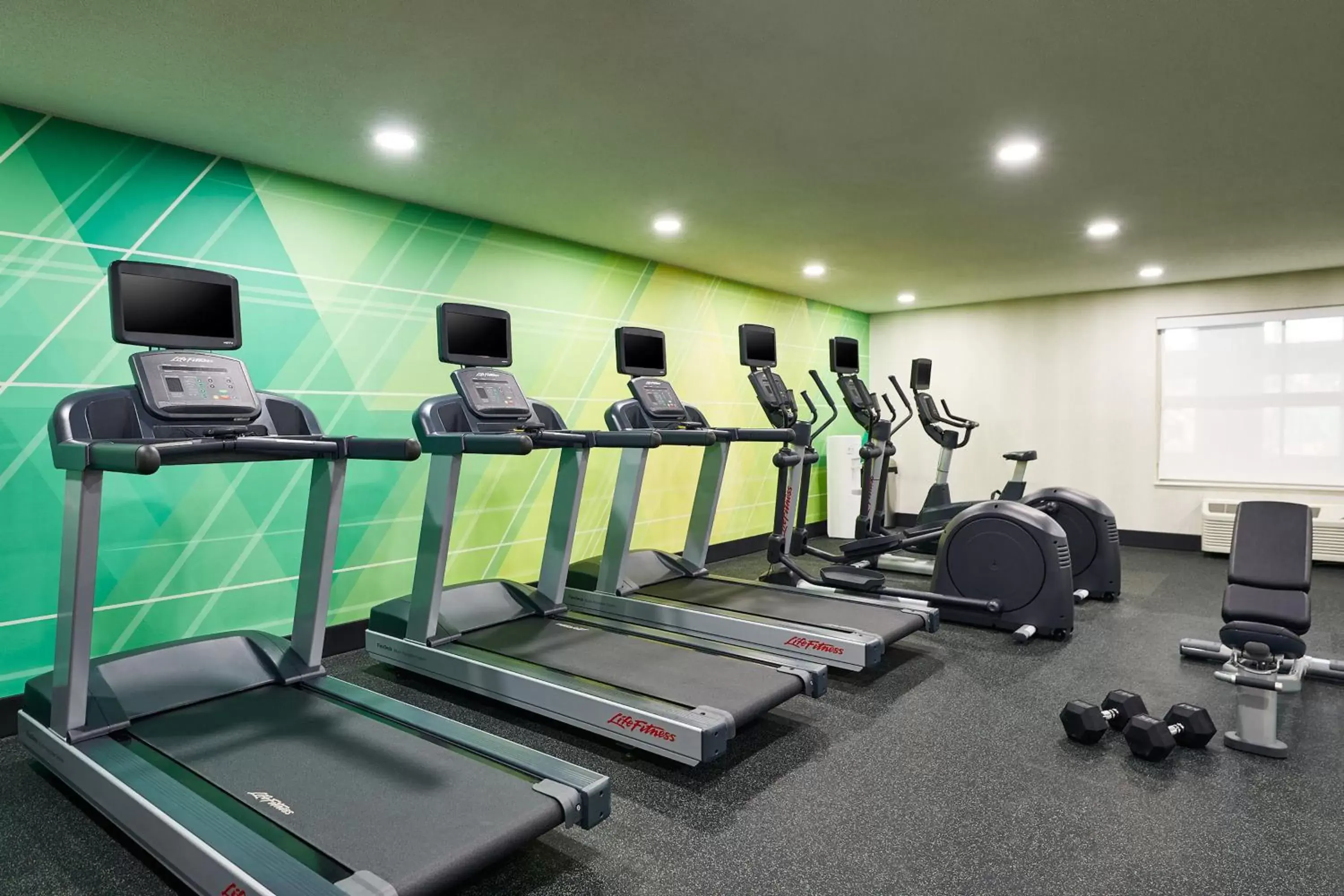 Spa and wellness centre/facilities, Fitness Center/Facilities in Holiday Inn Hotel & Suites Madison West, an IHG Hotel