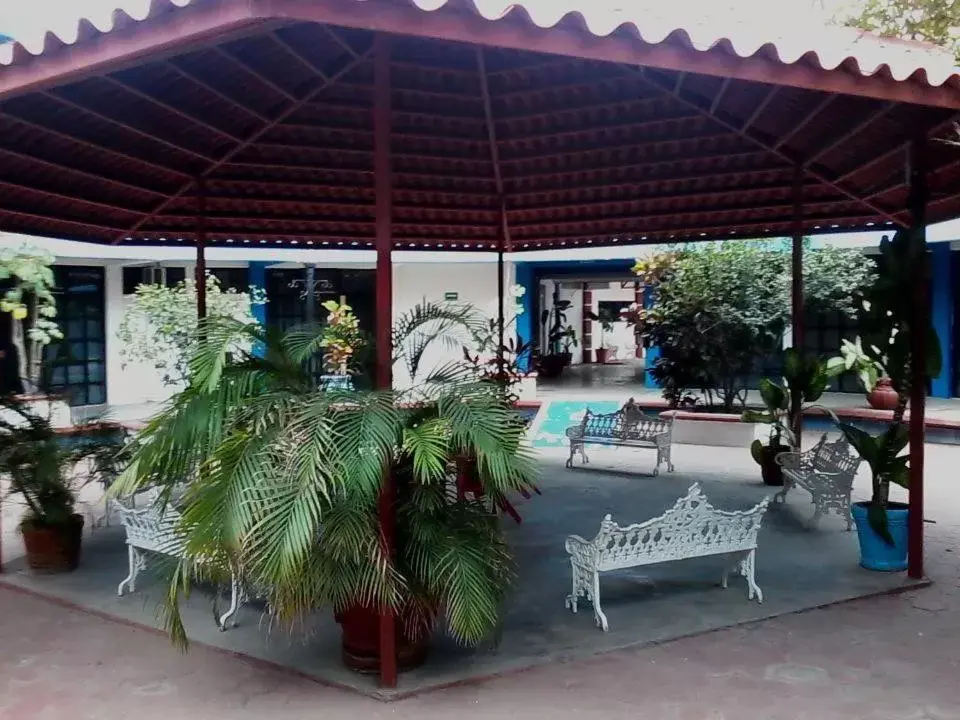 Garden, Swimming Pool in Hotel Marina Topolobampo