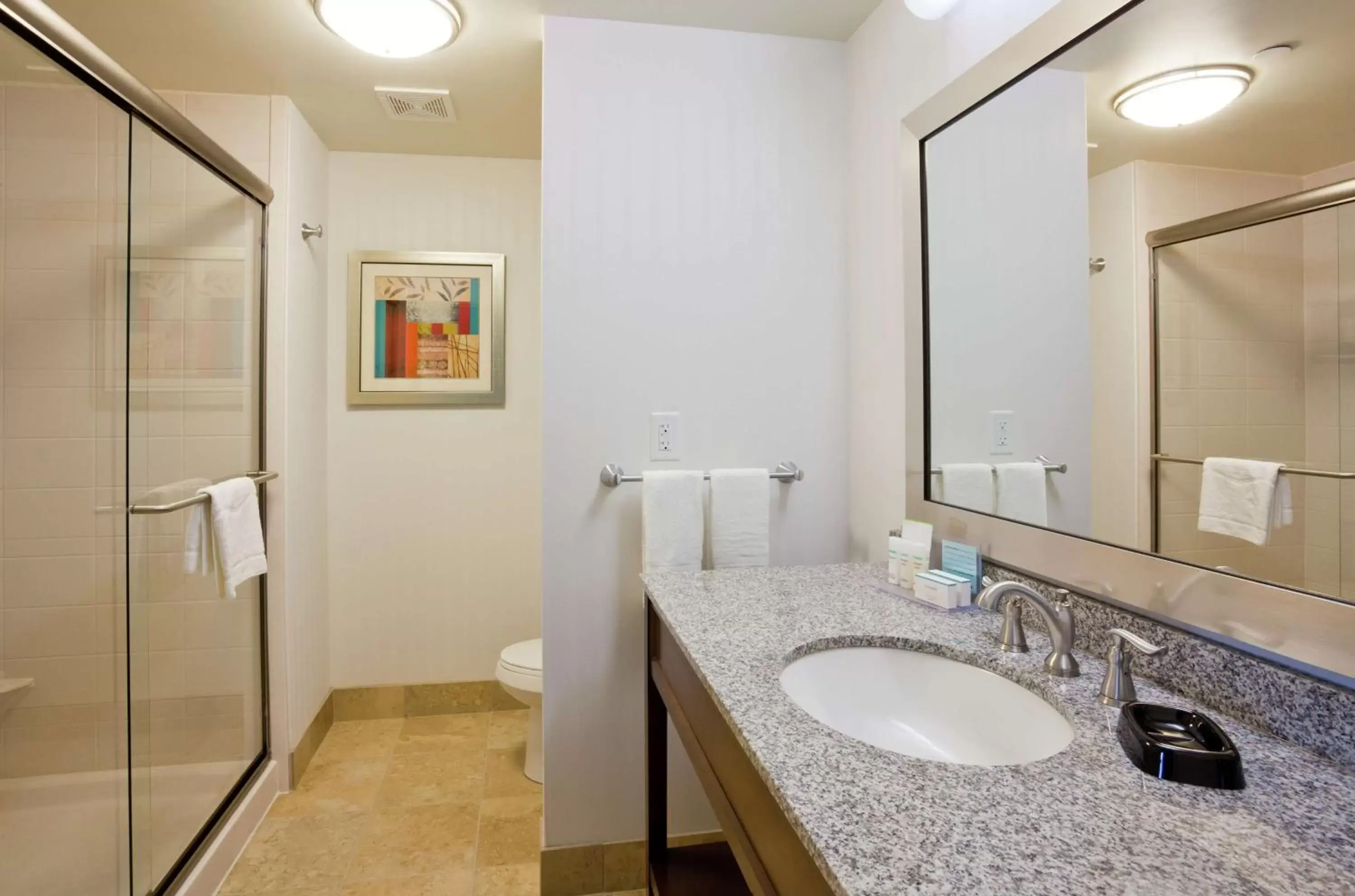 Bathroom in Hampton Inn & Suites Minneapolis West/ Minnetonka