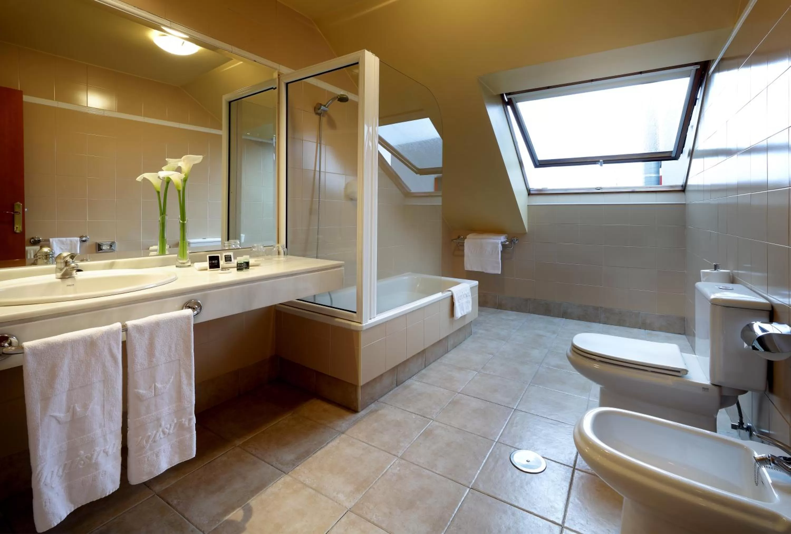 Shower in Exe Hotel El Magistral